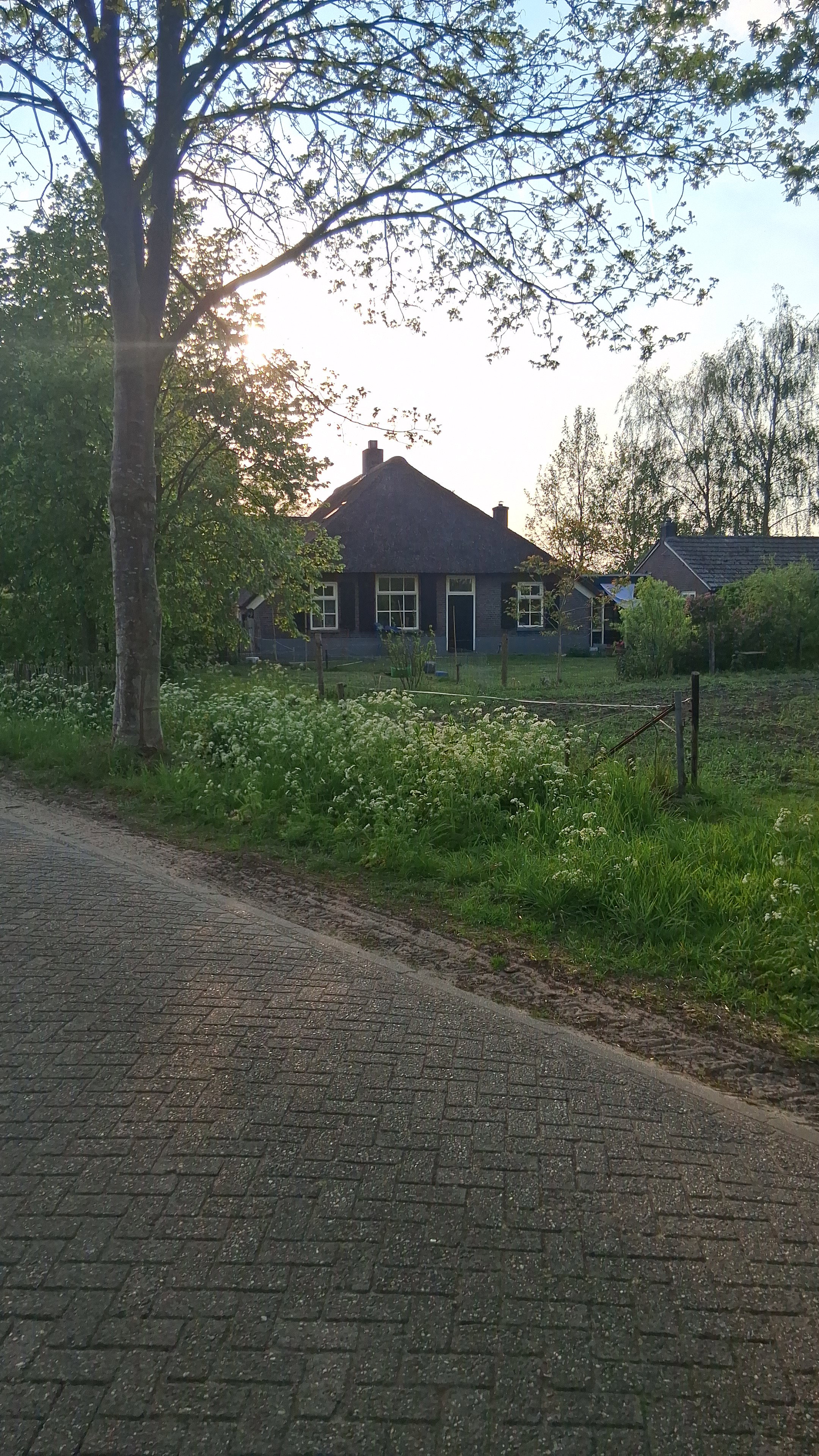 - image: 11
