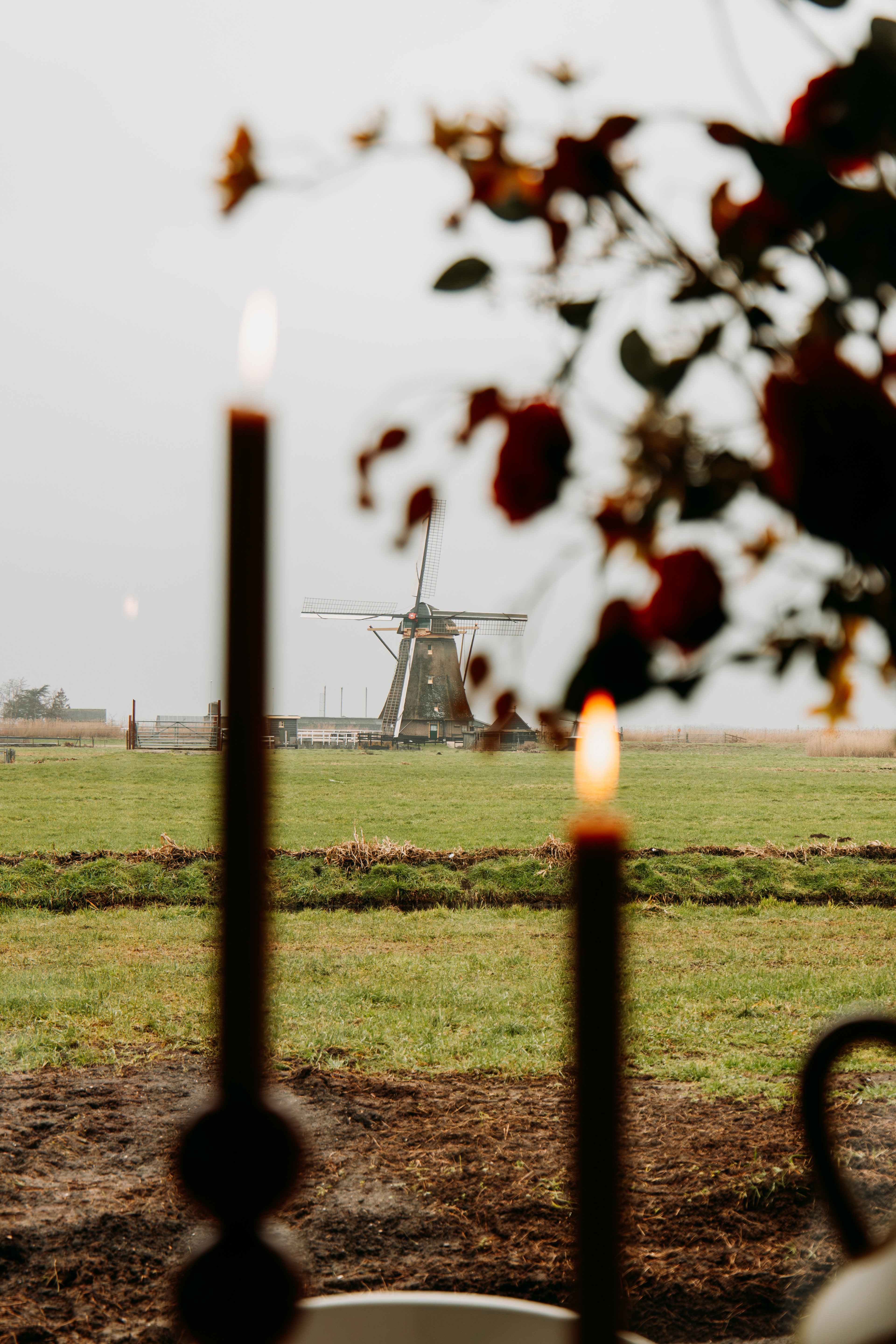 Natuurhuisje in Goudriaan