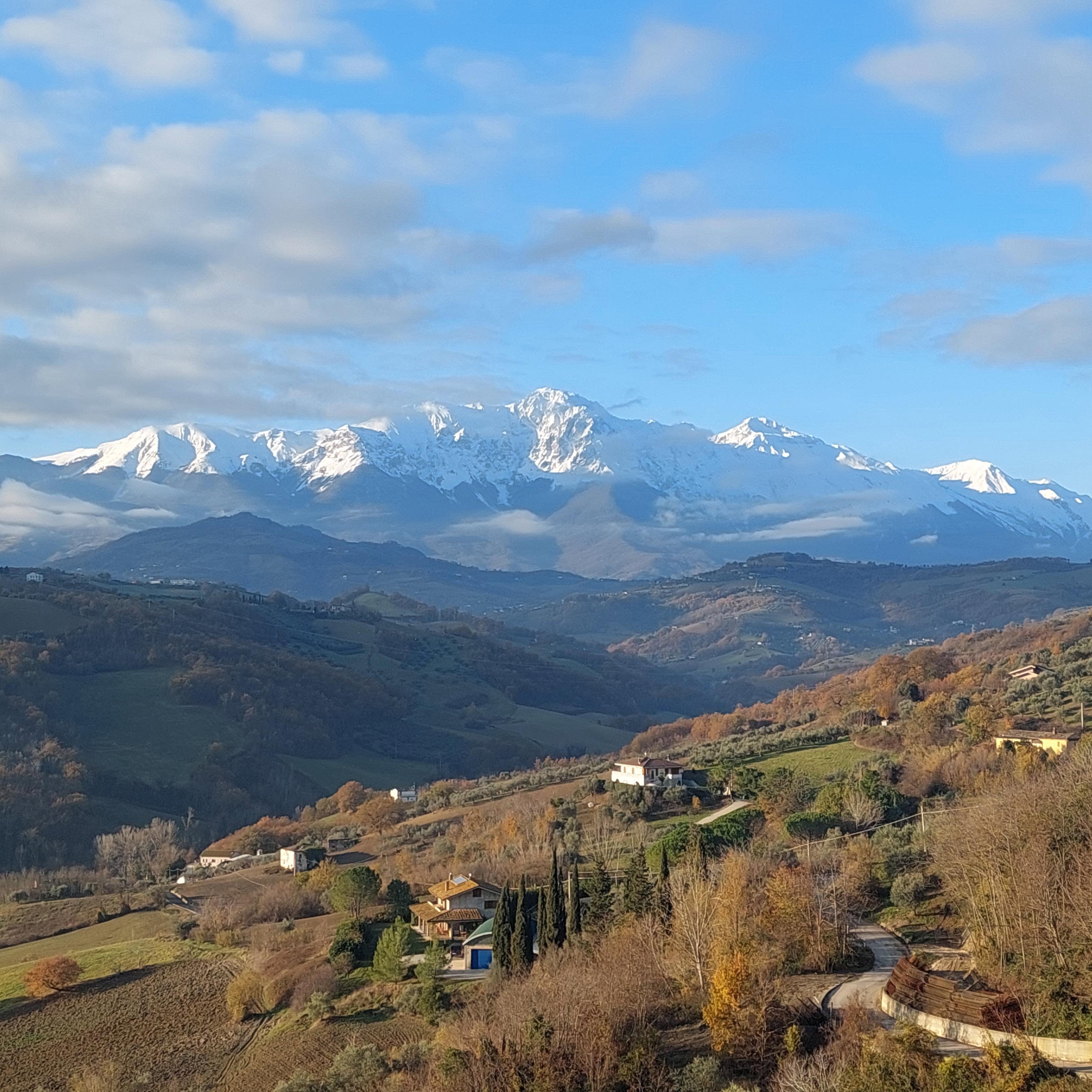 - image: 12