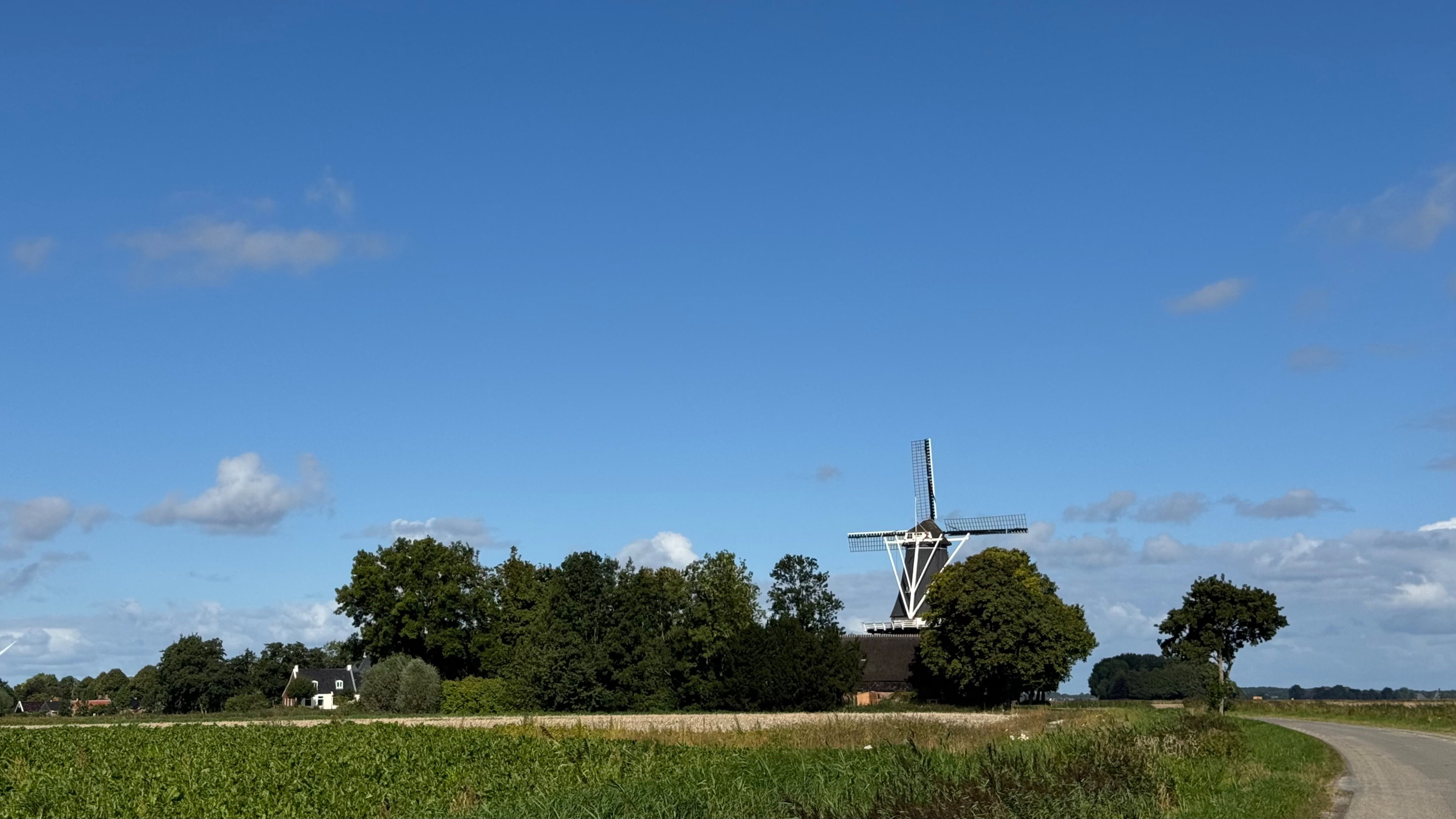 - image: 24