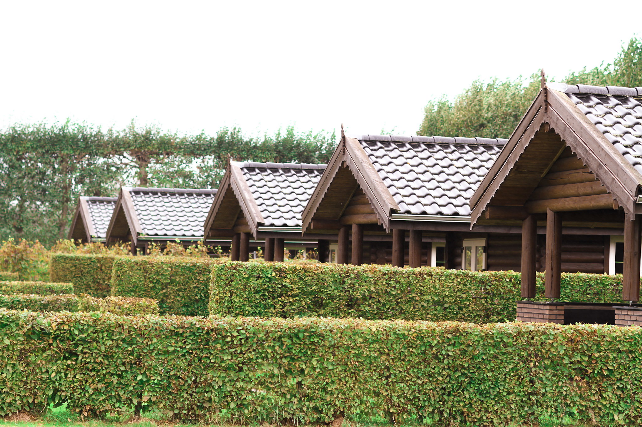 Natuurhuisje in Wognum