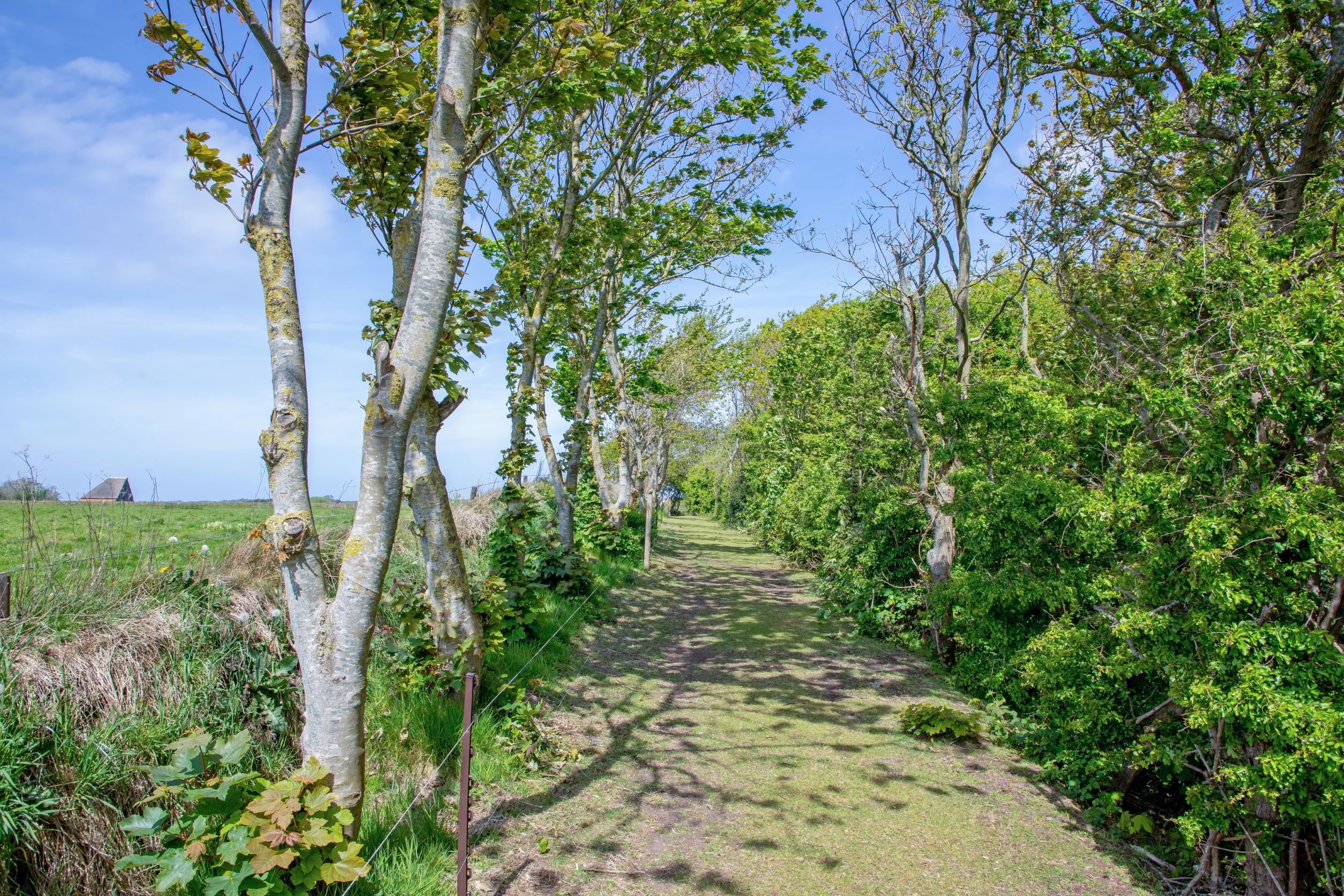 Natuurhuisje in Den Burg