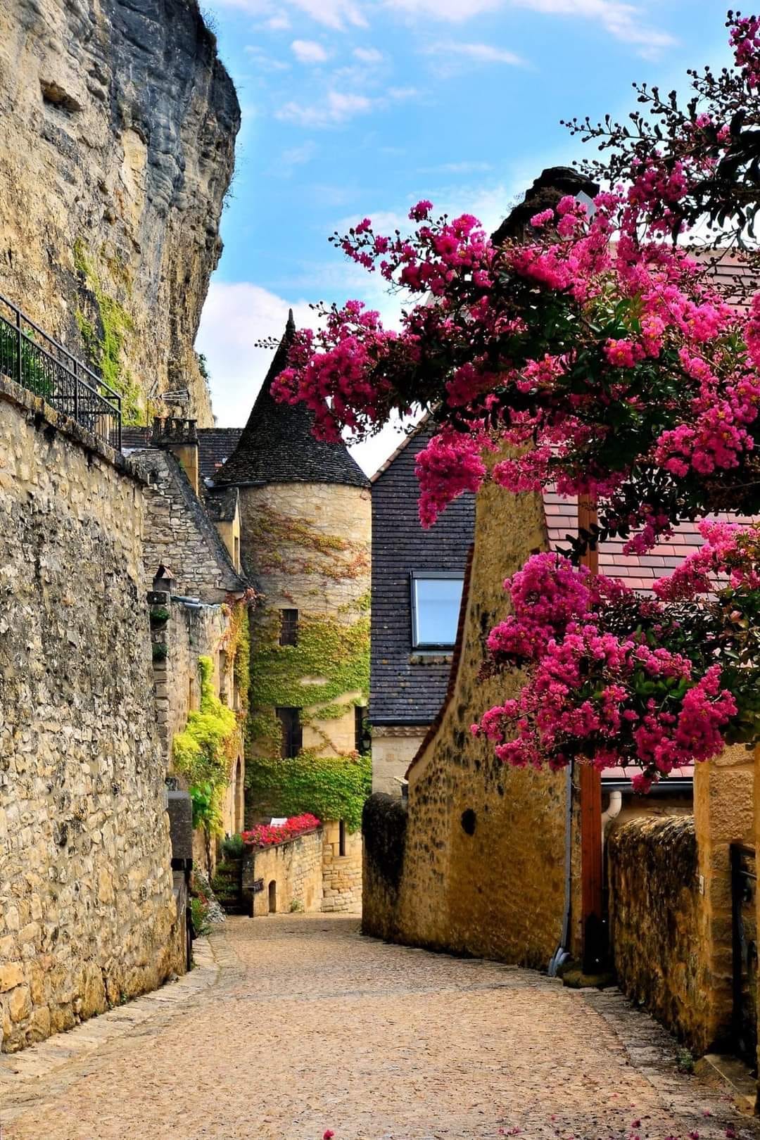 - image: 14