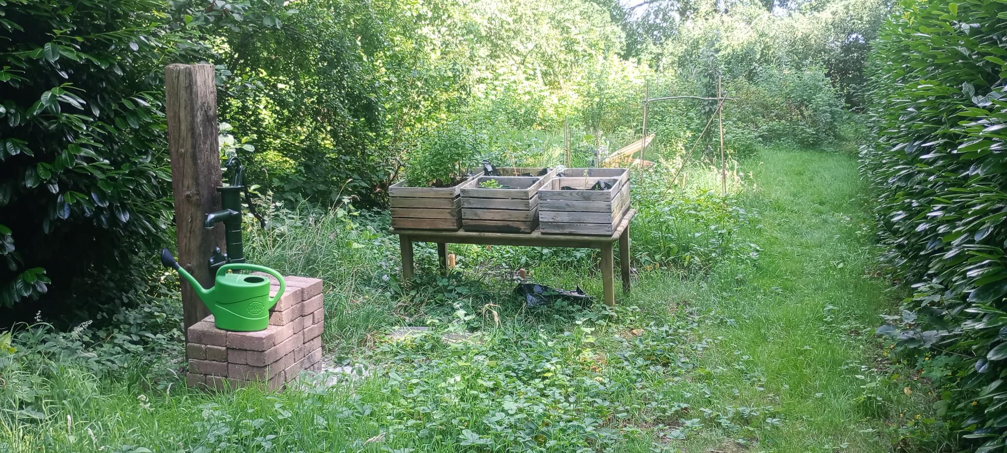 Natuurhuisje in Blijham