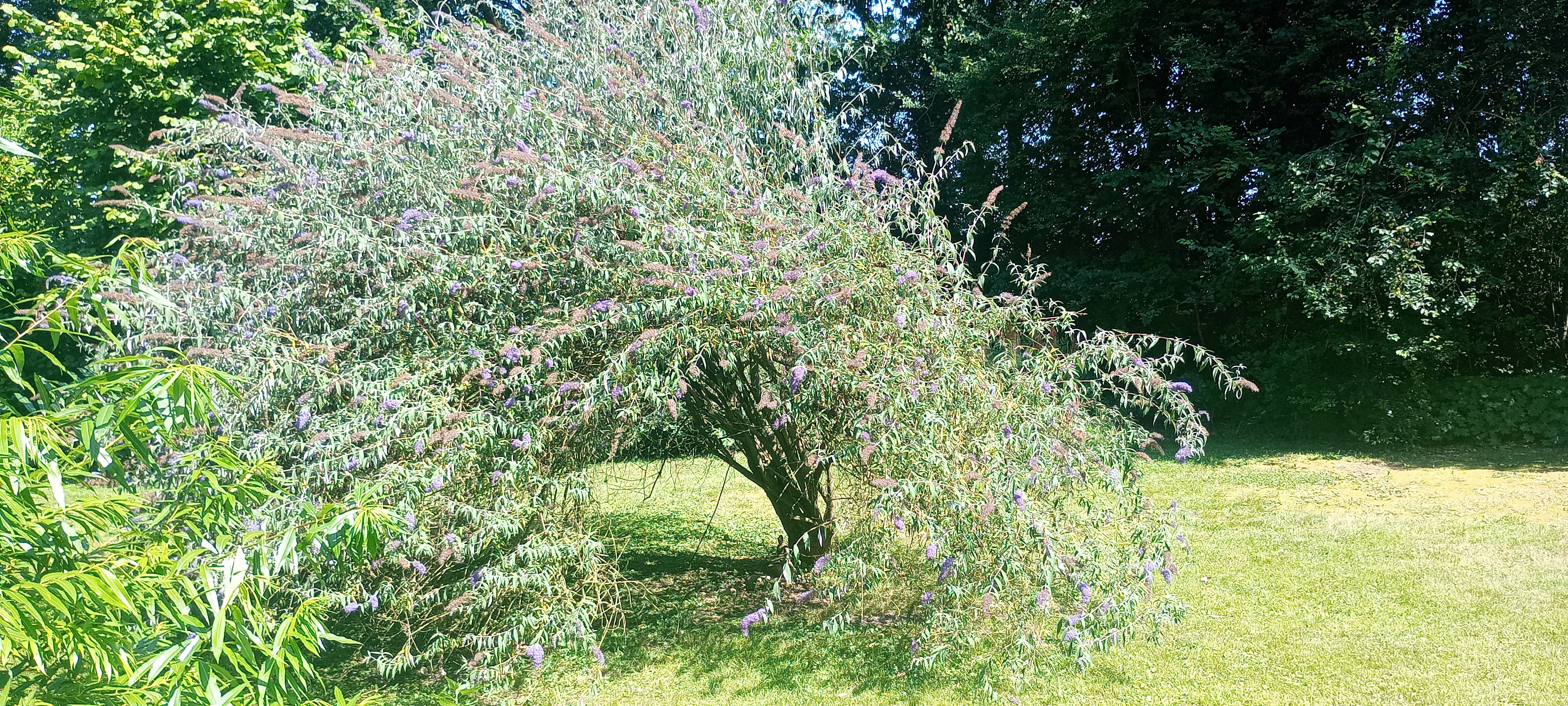 Natuurhuisje in Blijham