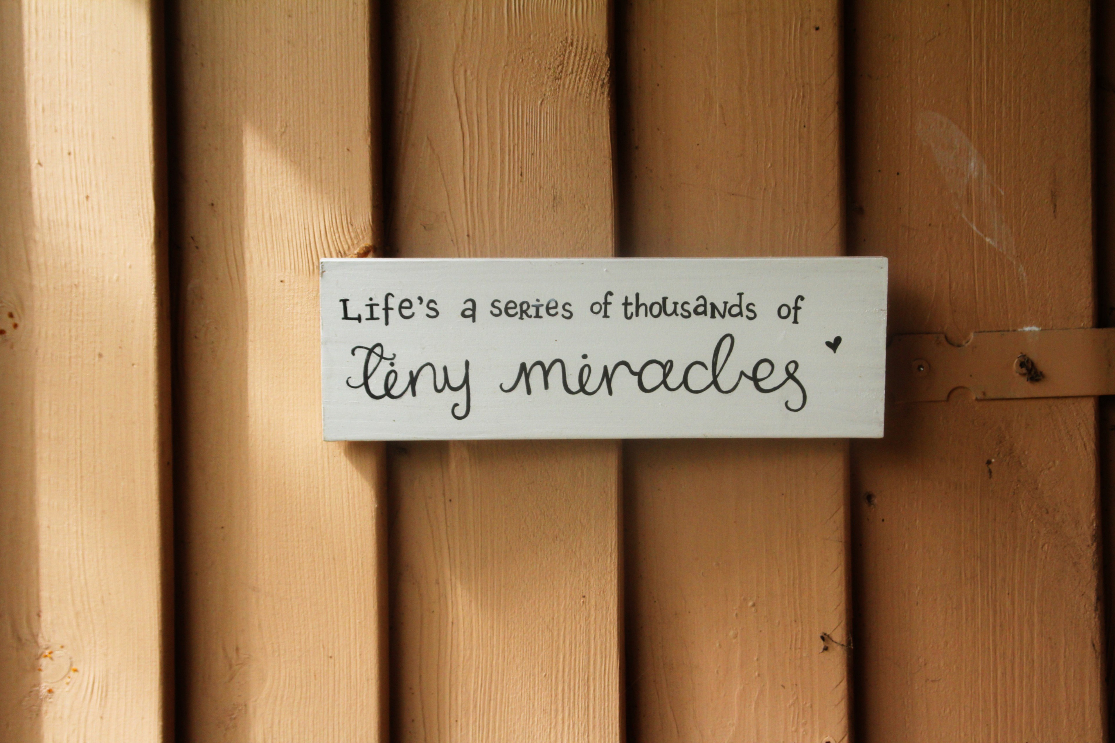 - image: 11