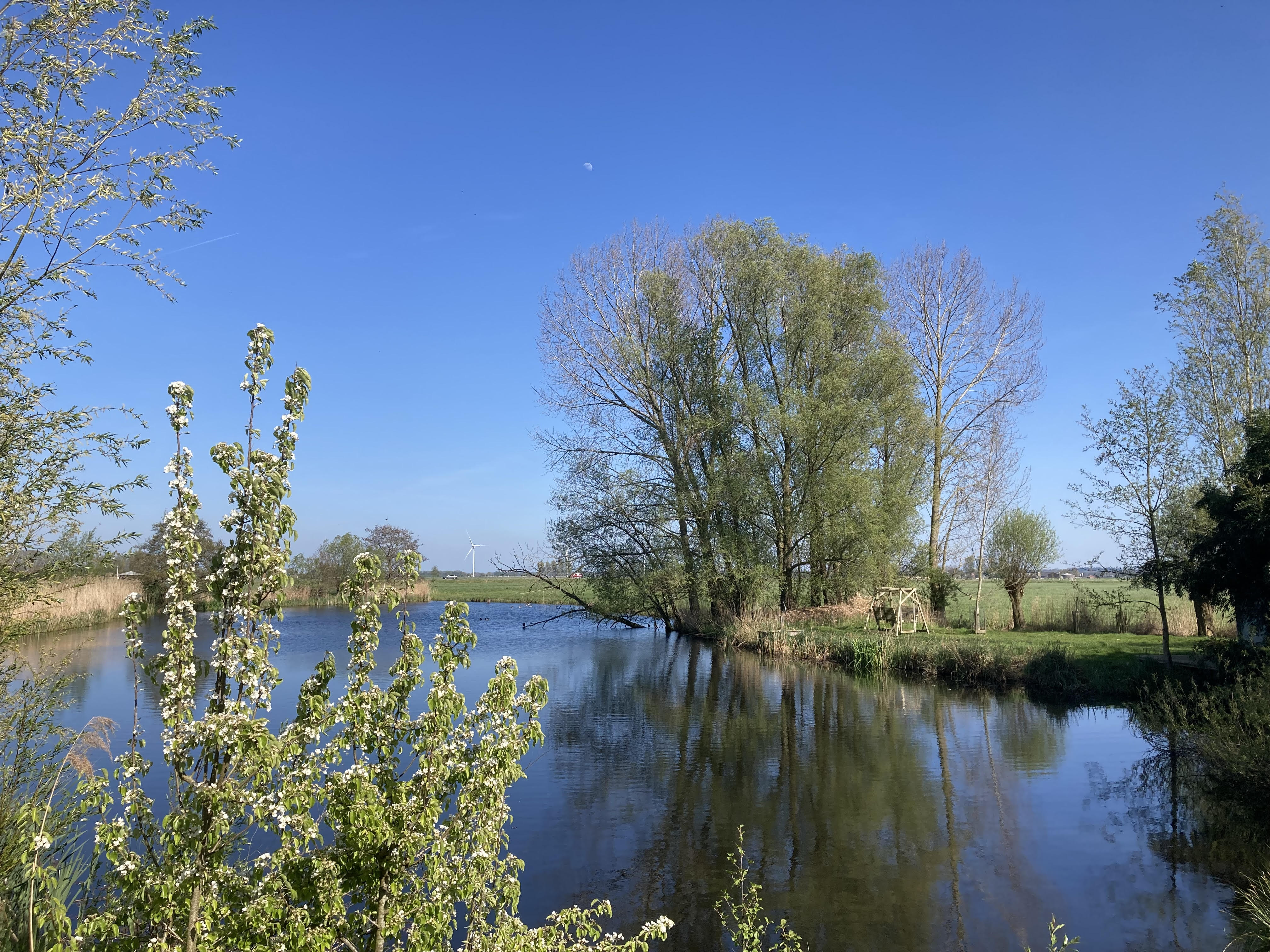 Natuurhuisje in Kamperveen