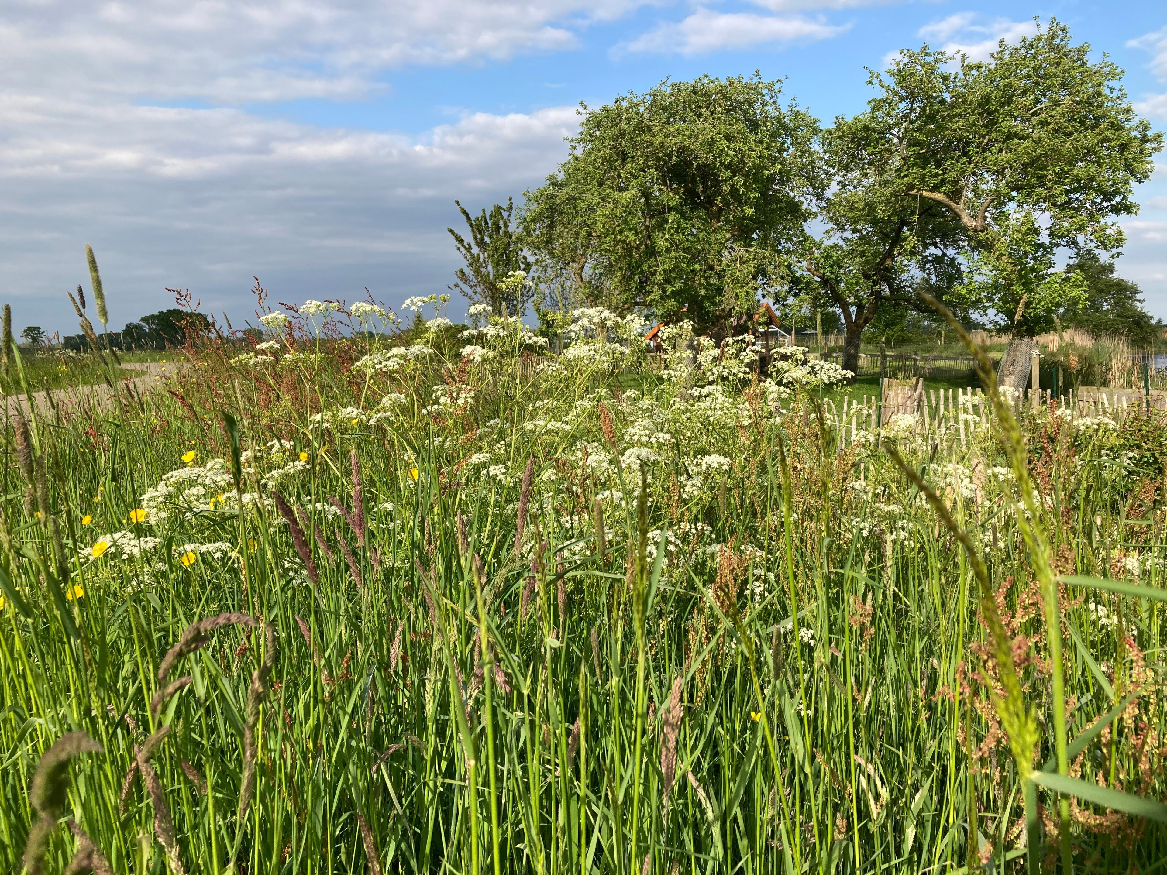 Natuurhuisje in Kamperveen