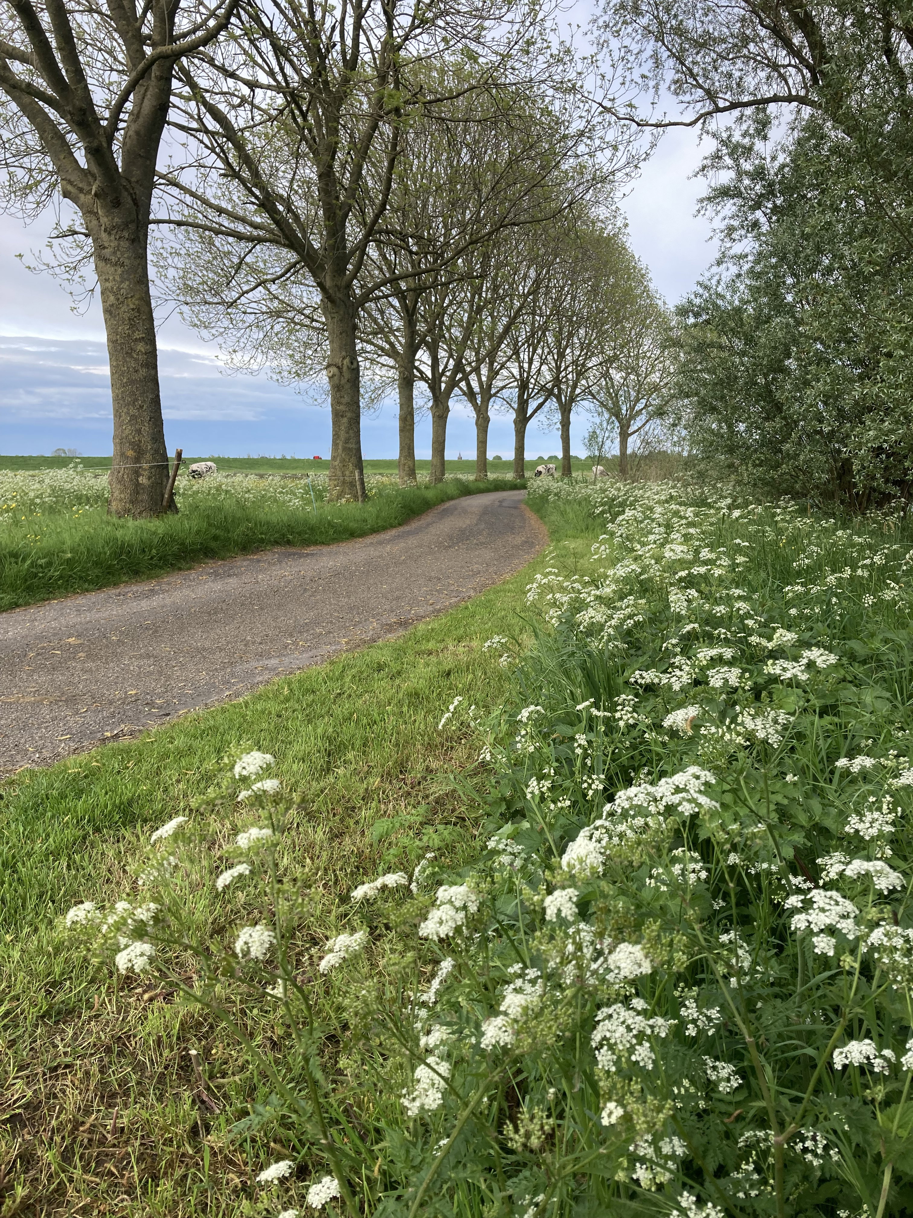 Natuurhuisje in Kamperveen
