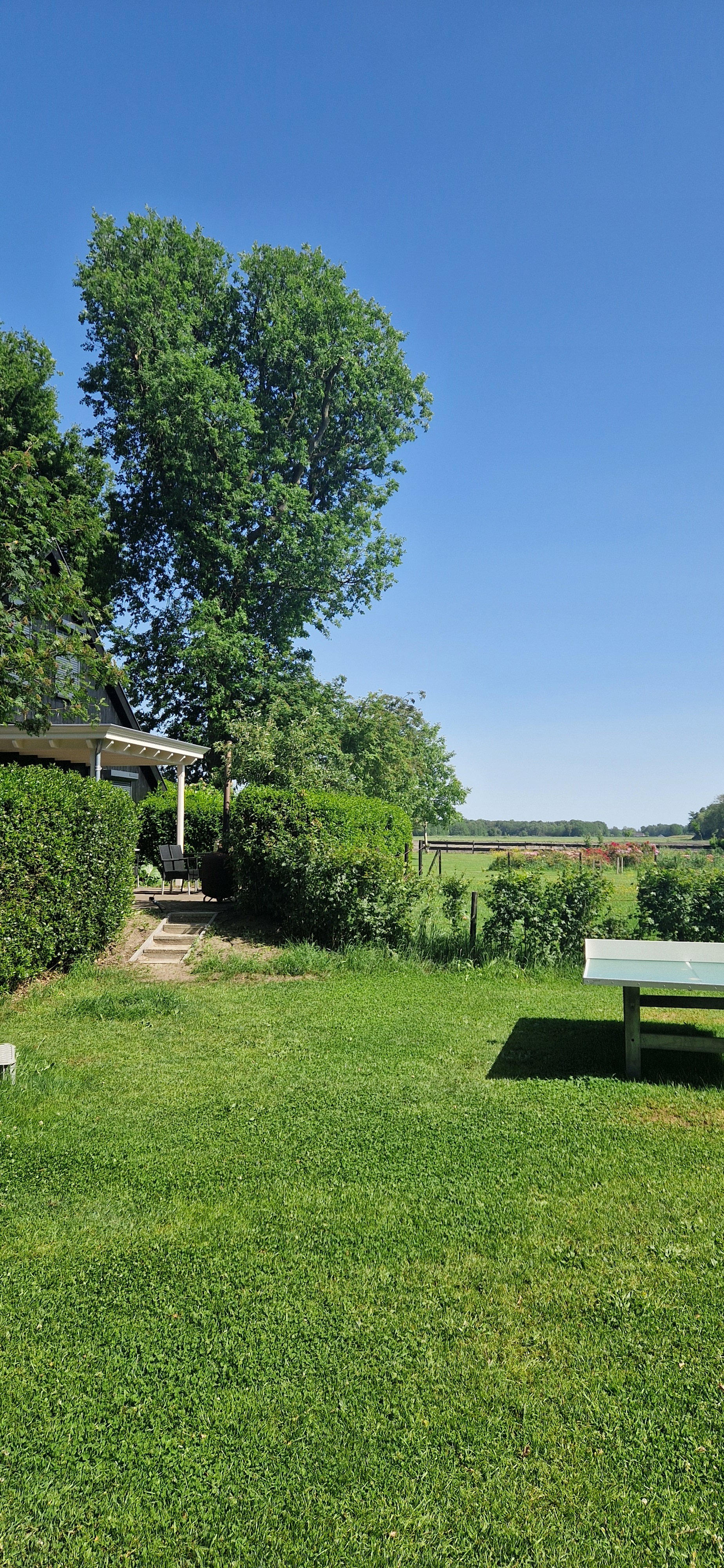 Naturhäuschen in Balkbrug