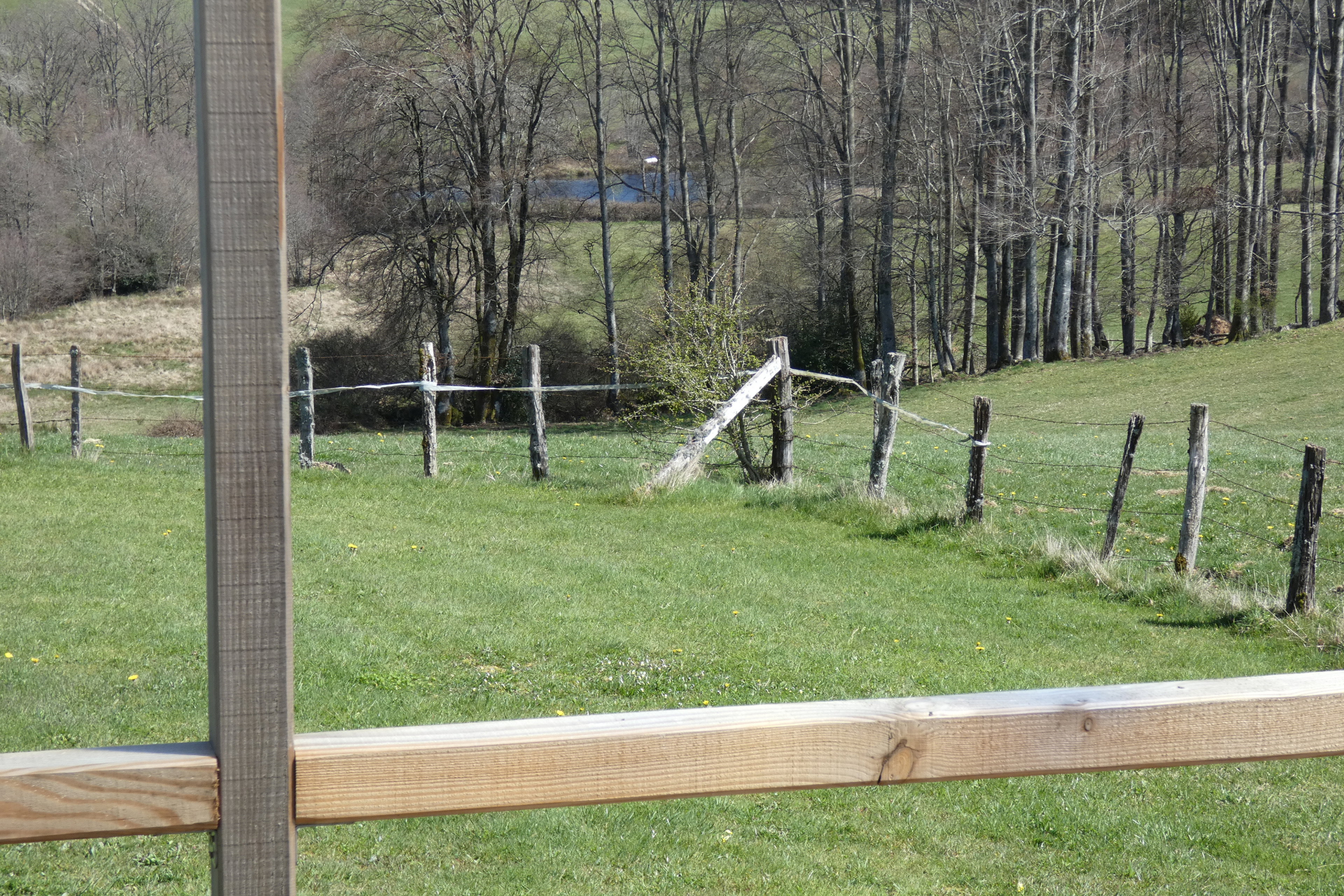 Maison nature à Gien sur Cure