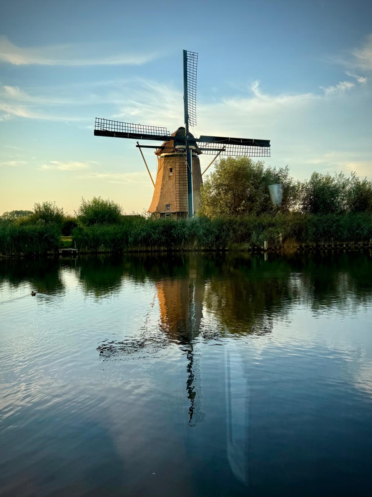- image: 19