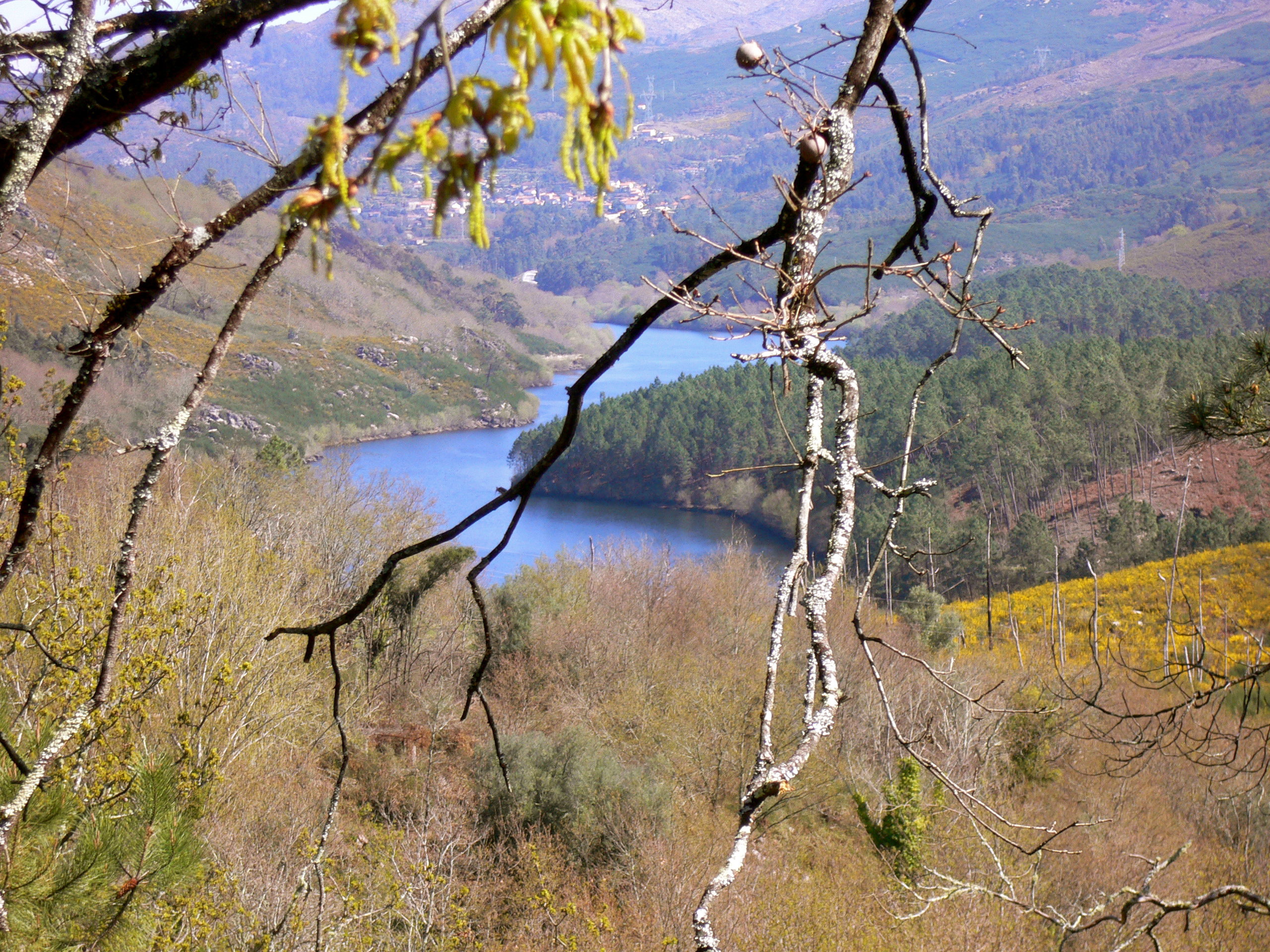 Maison nature à Arcos de Valdevez