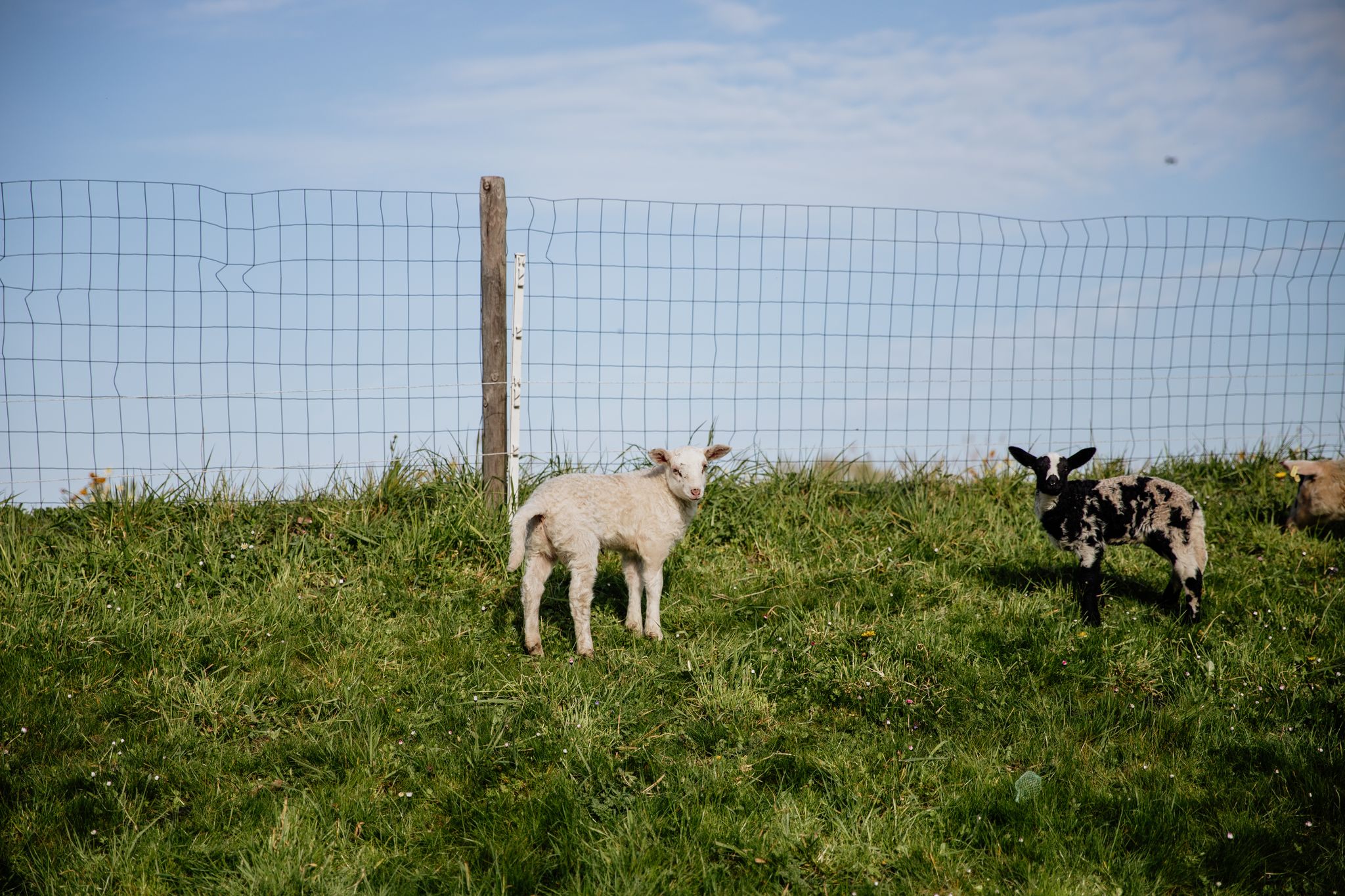 Natuurhuisje in Woerdense Verlaat