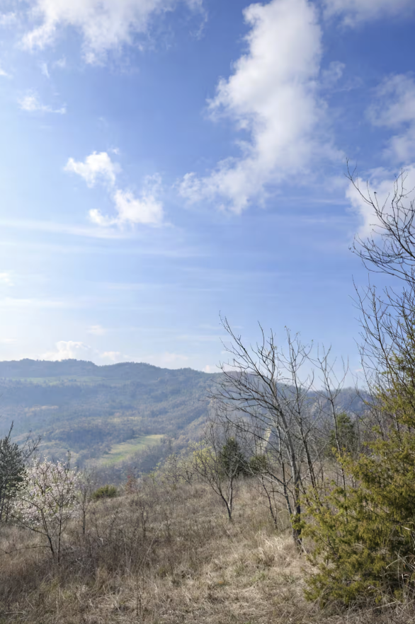 Casa nella natura a Pianello Val Tidone