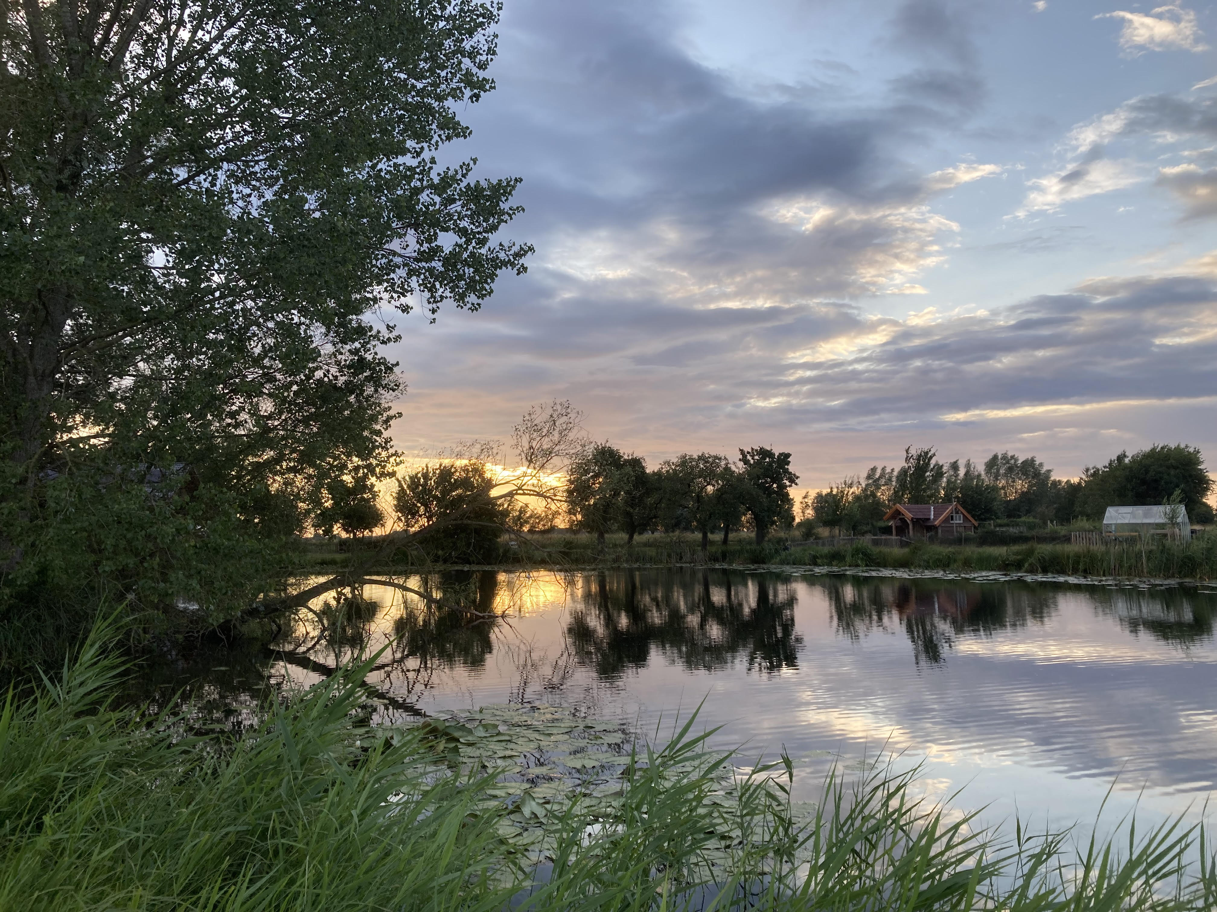 - image: 20