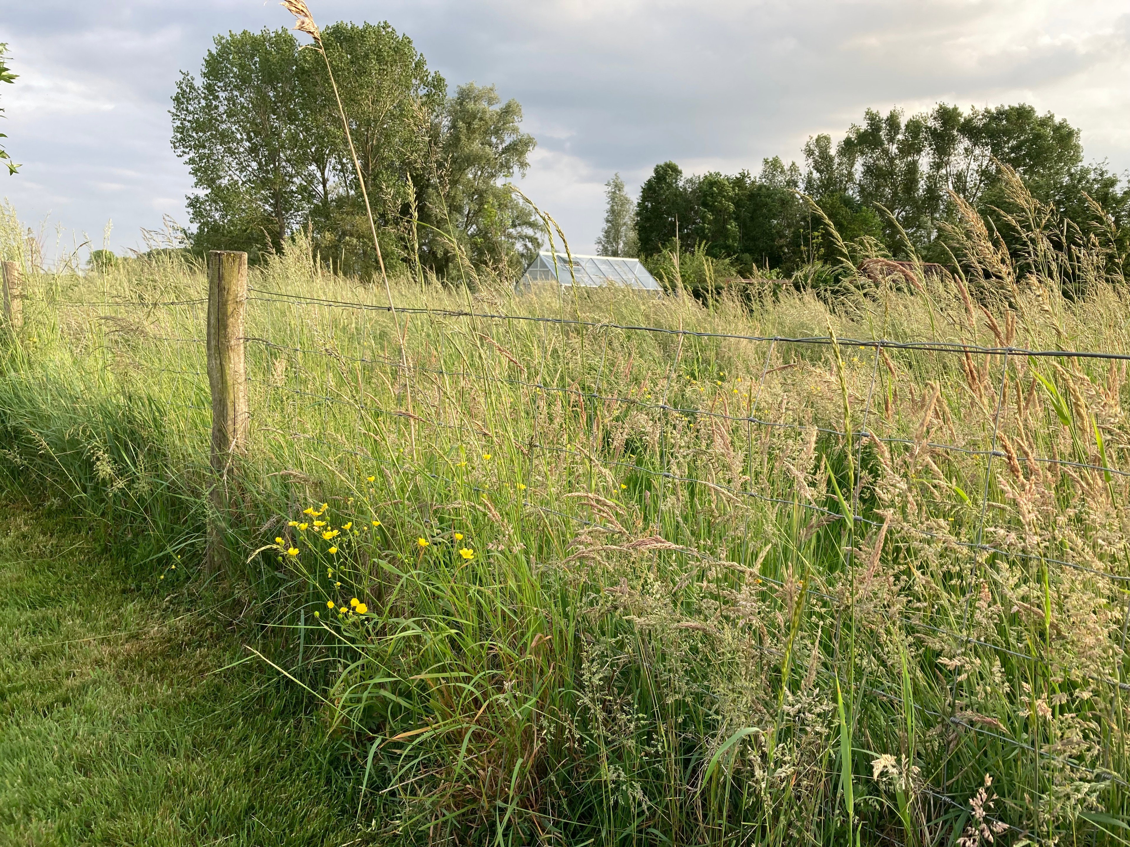 Natuurhuisje in Kamperveen