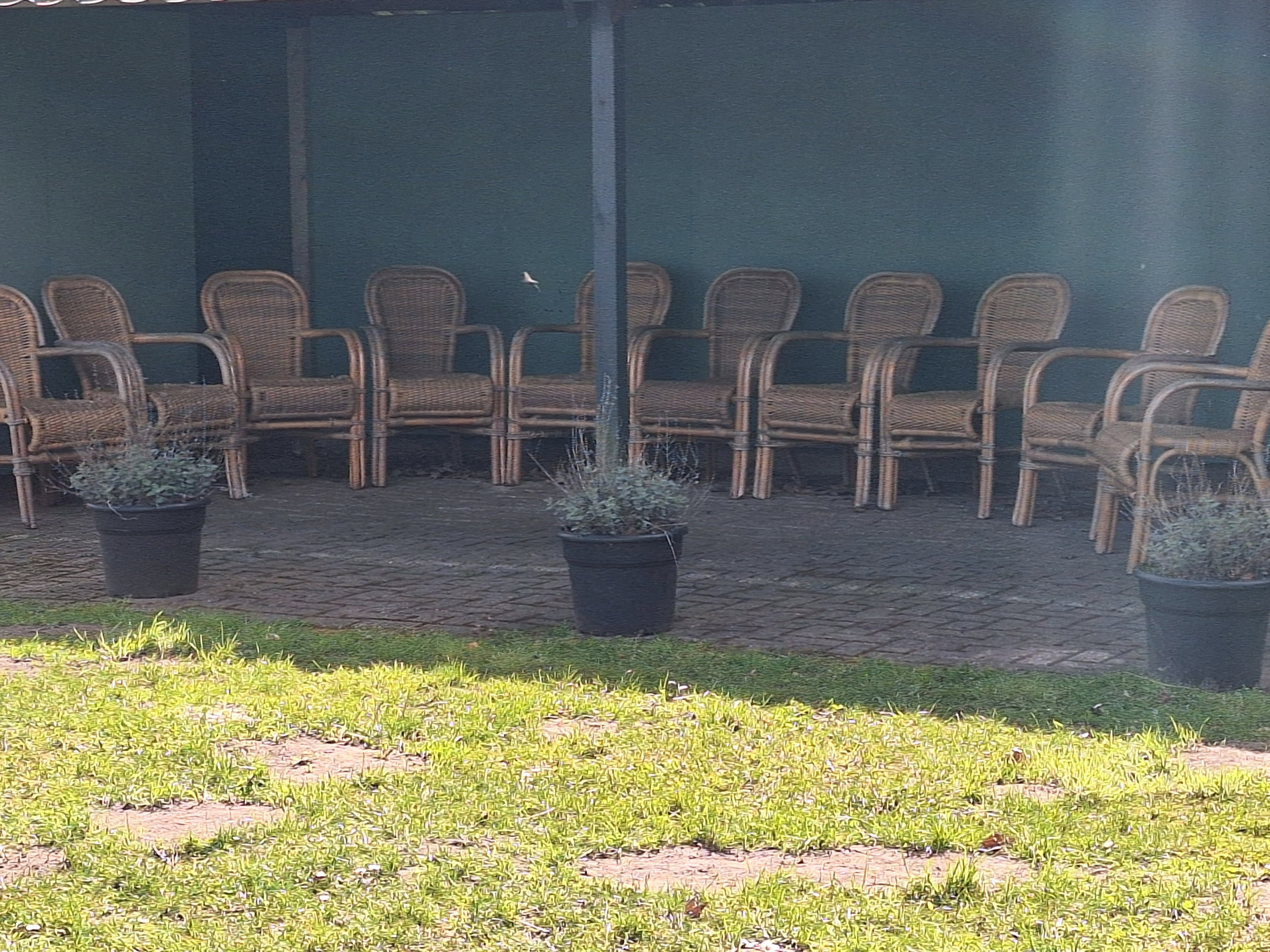 Natuurhuisje in Grolloo