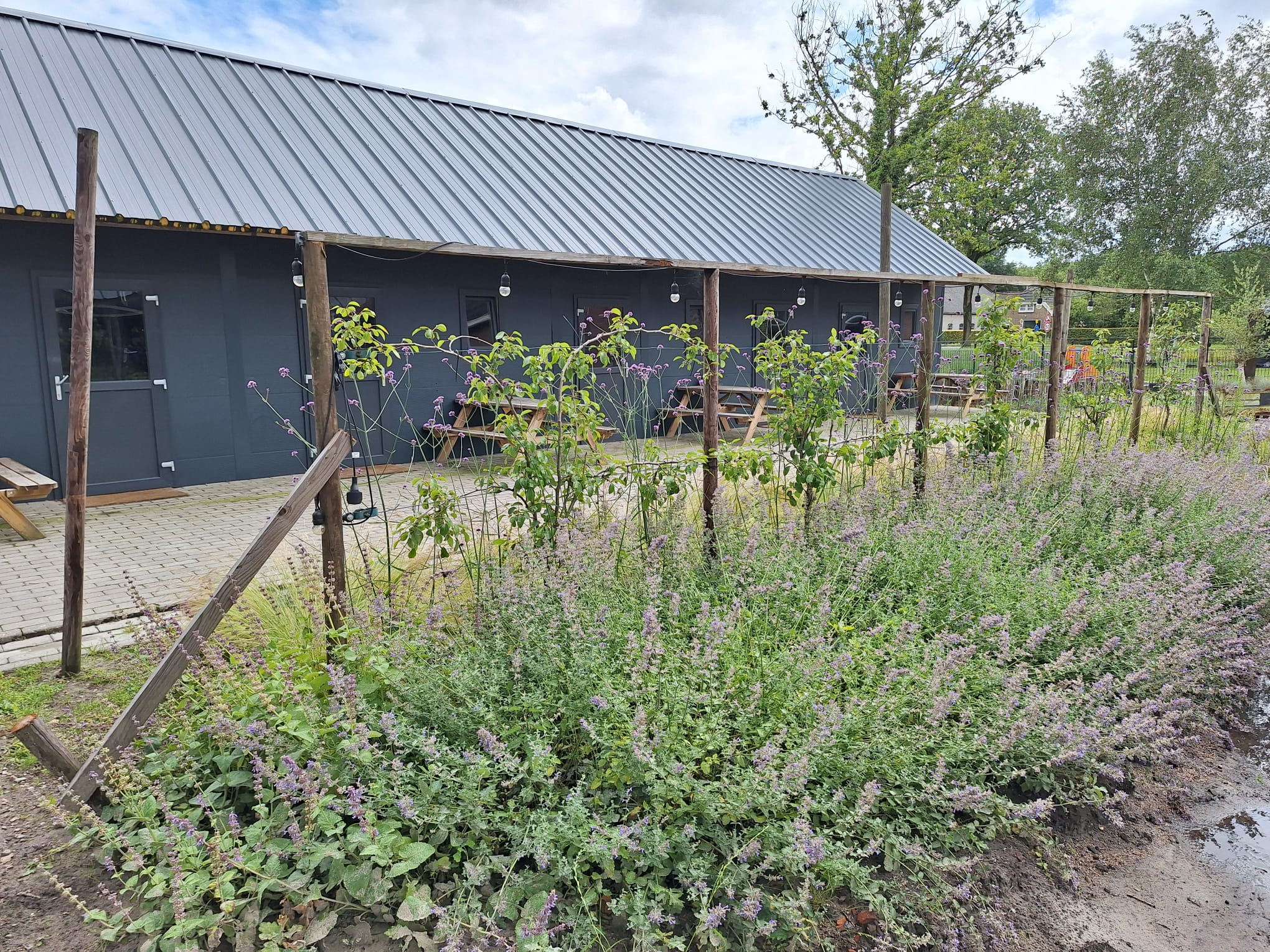 Natuurhuisje in Grolloo