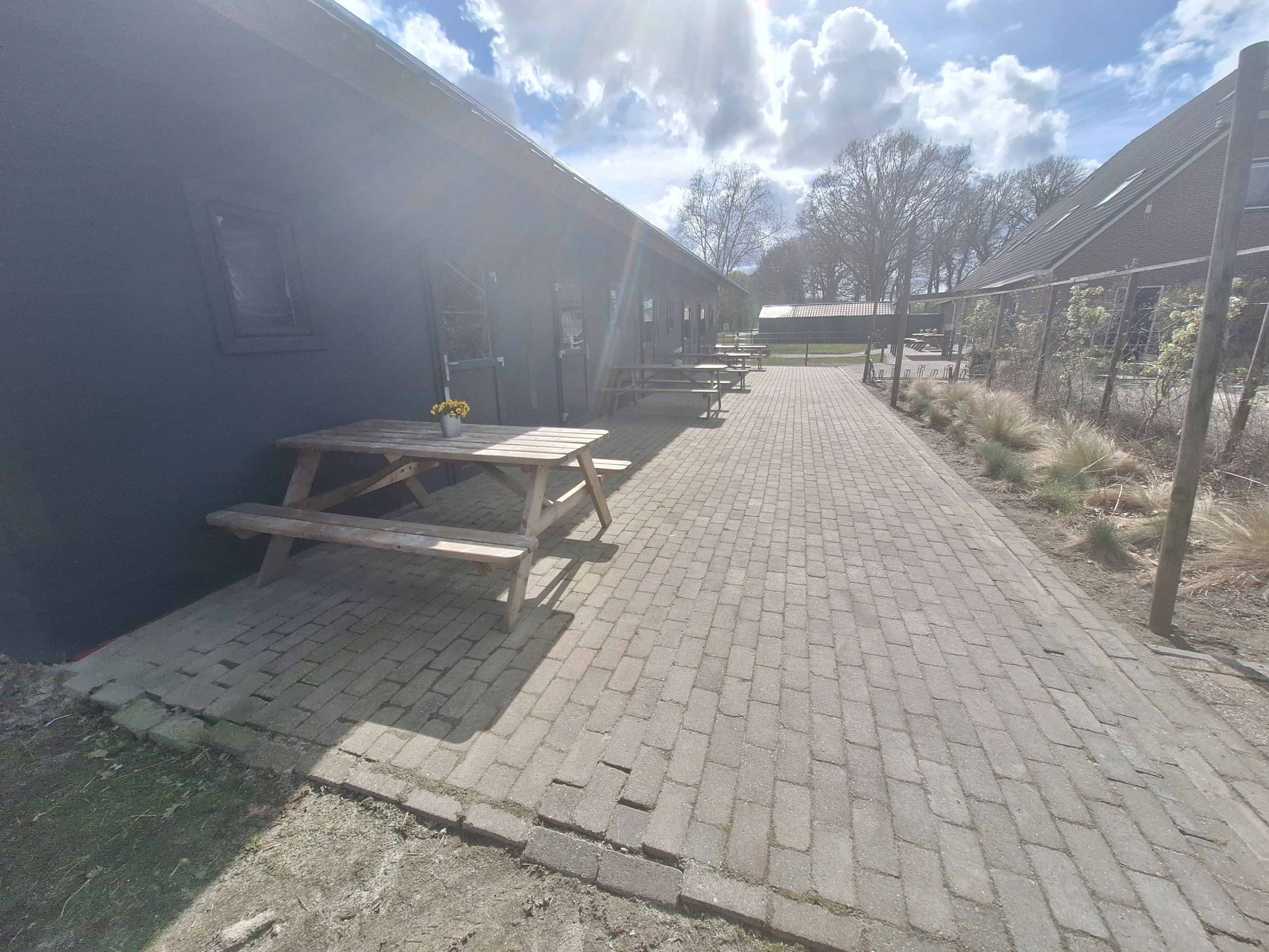 Natuurhuisje in Grolloo