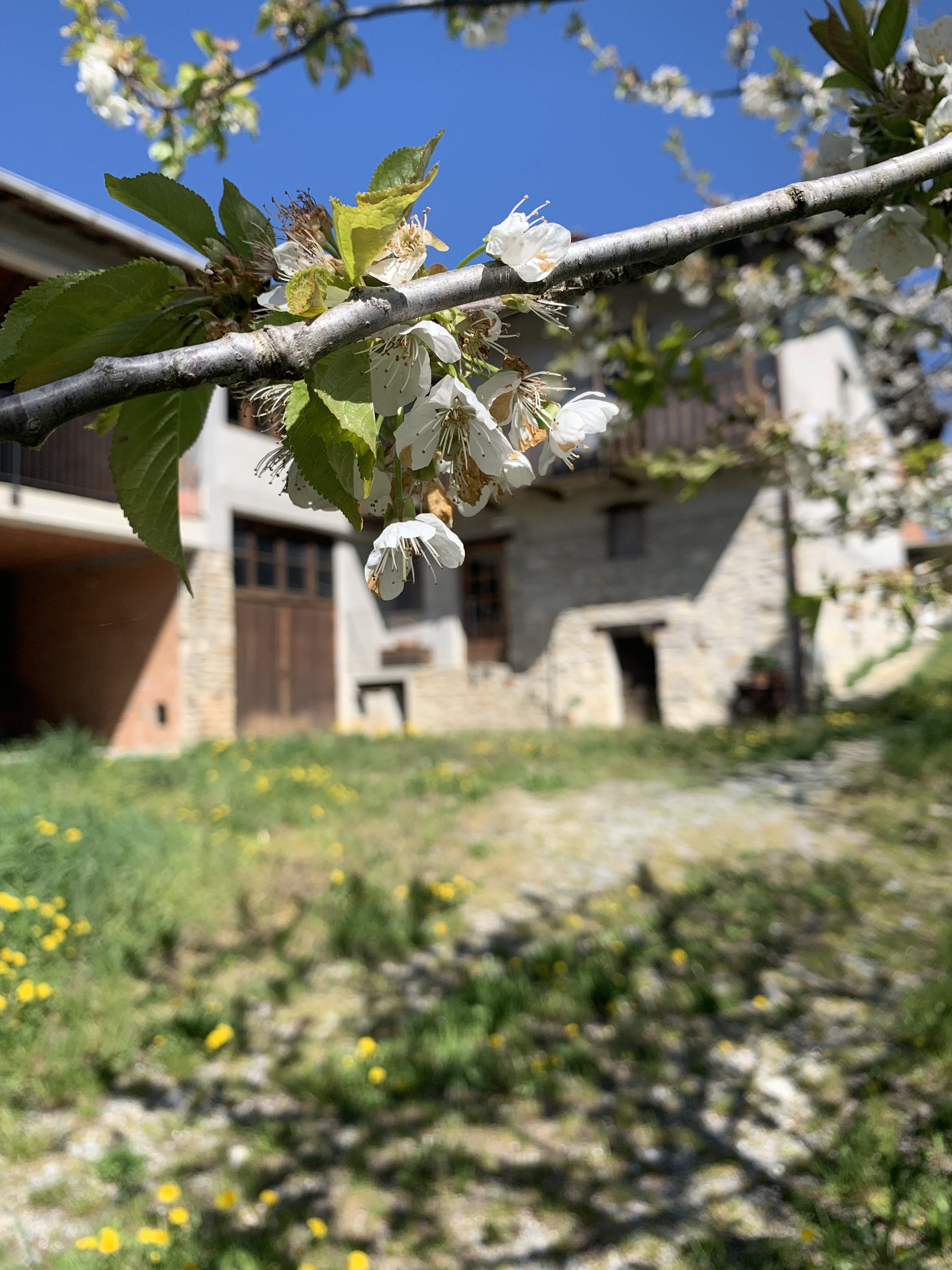 Nature house in Camerana