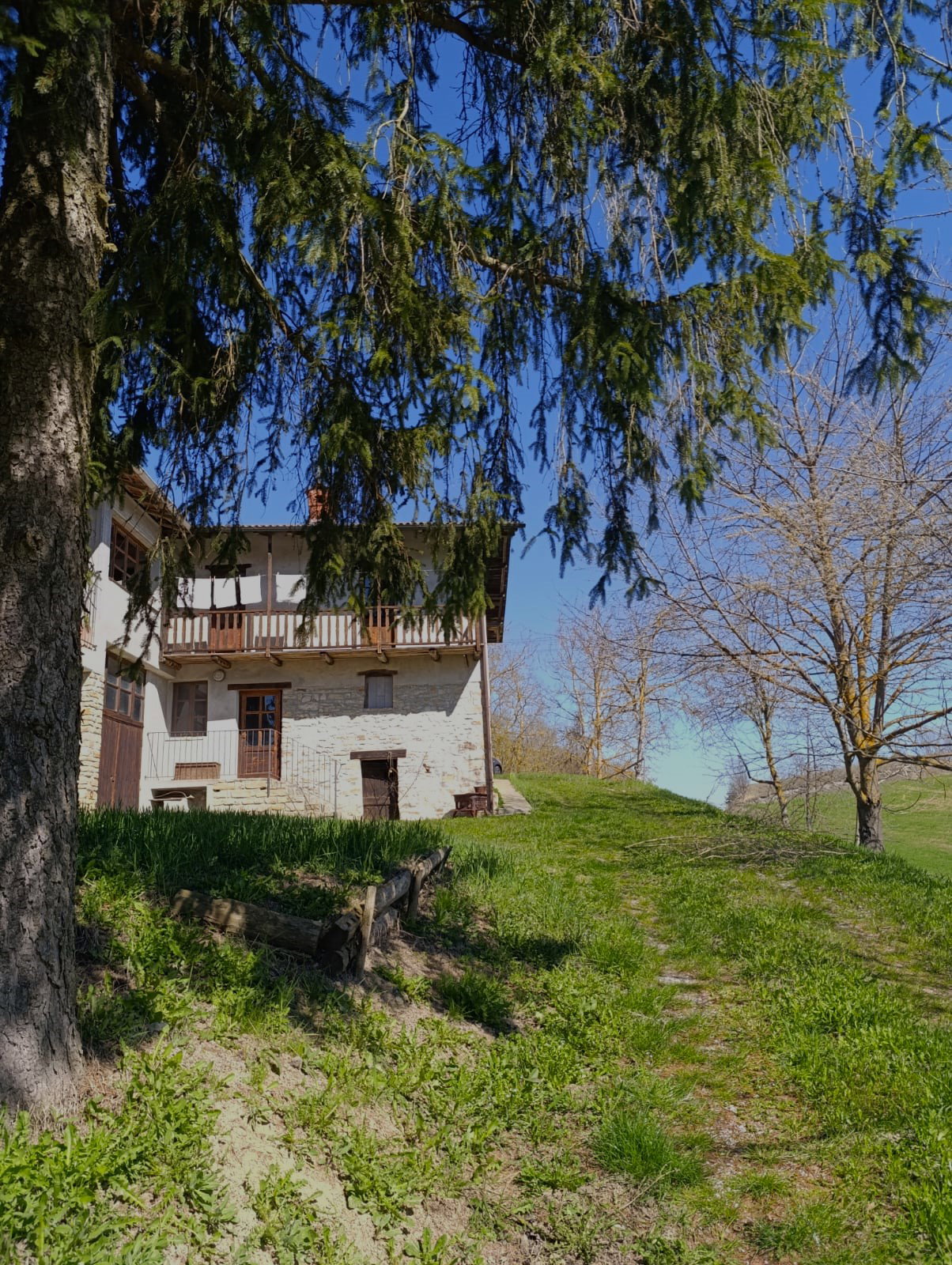 - image: 13