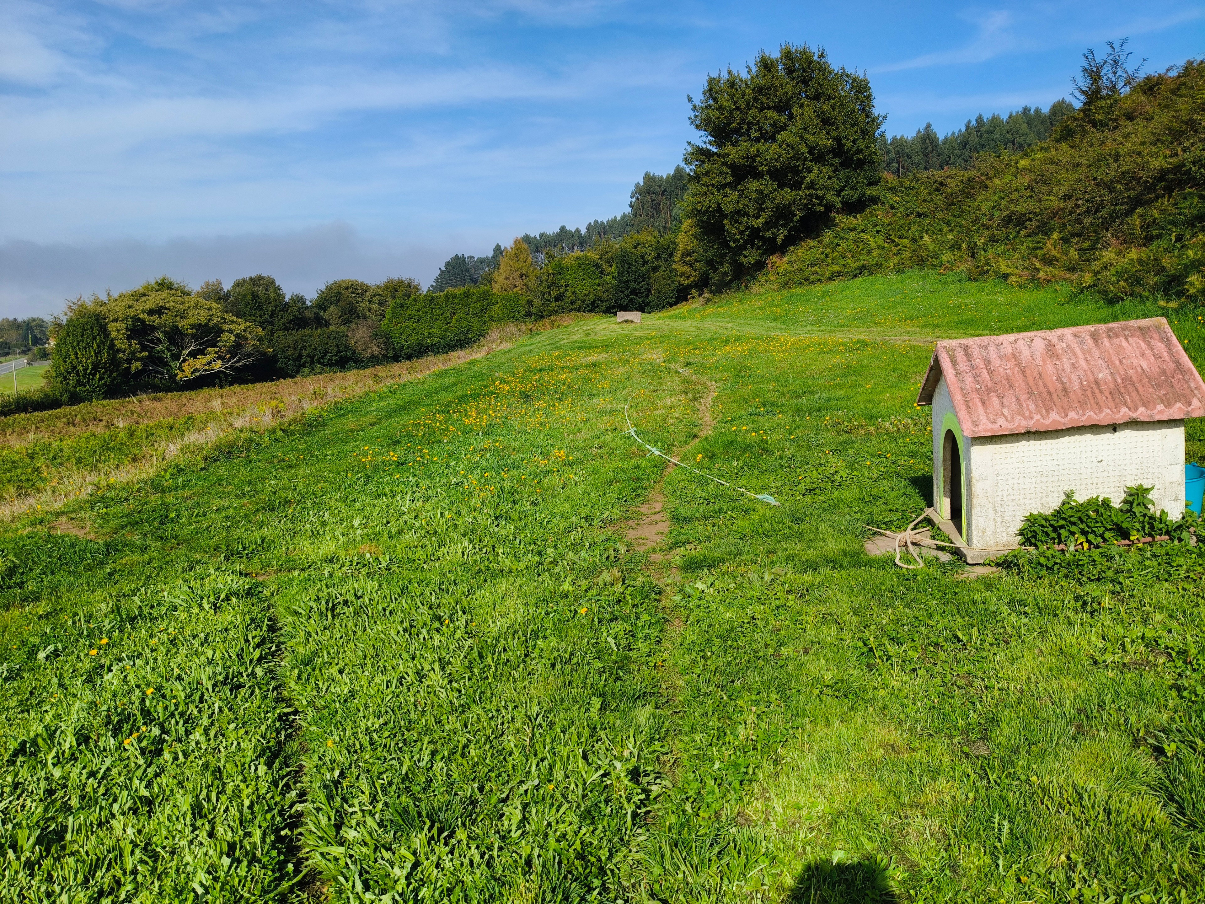 Casa nella natura a Valdoviño