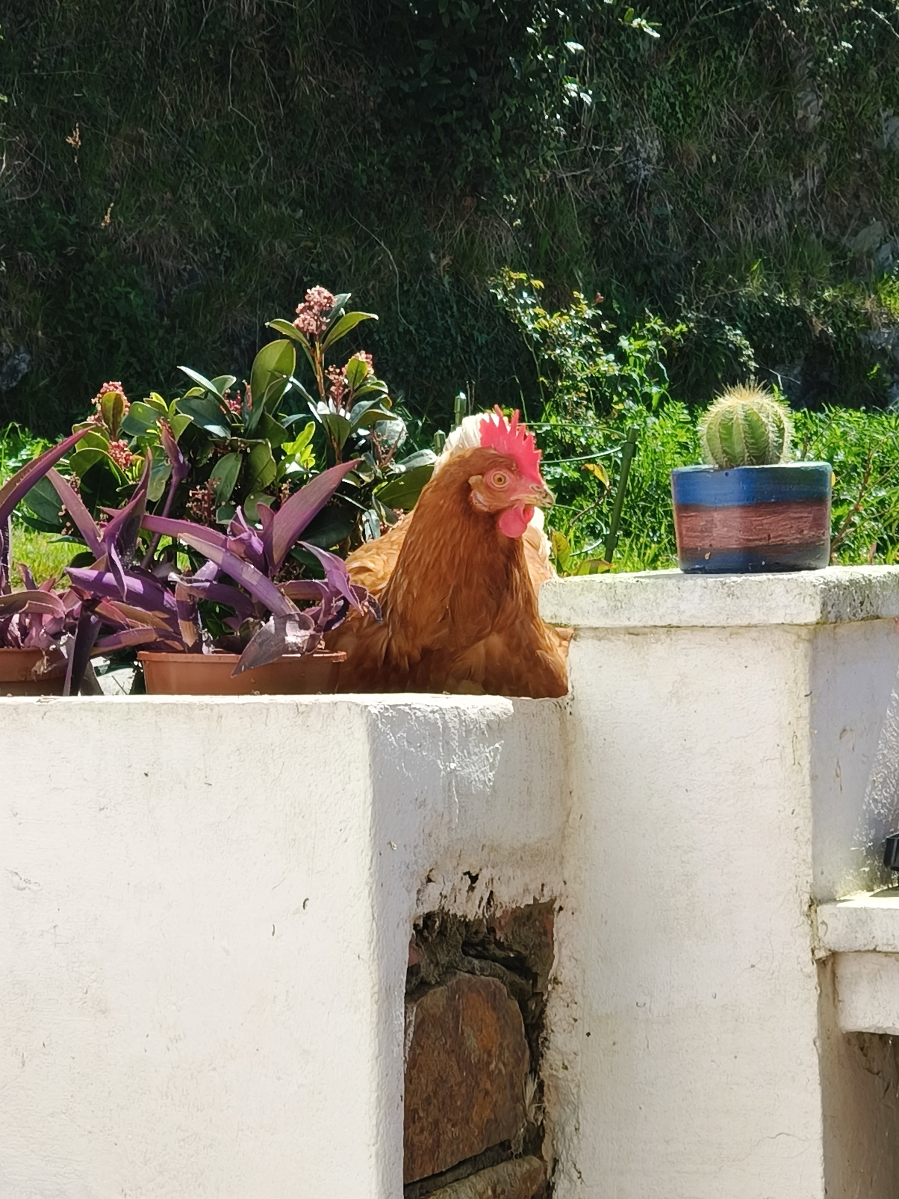 Casa nella natura a Valdoviño