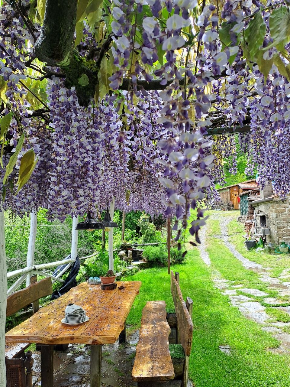 - image: 64