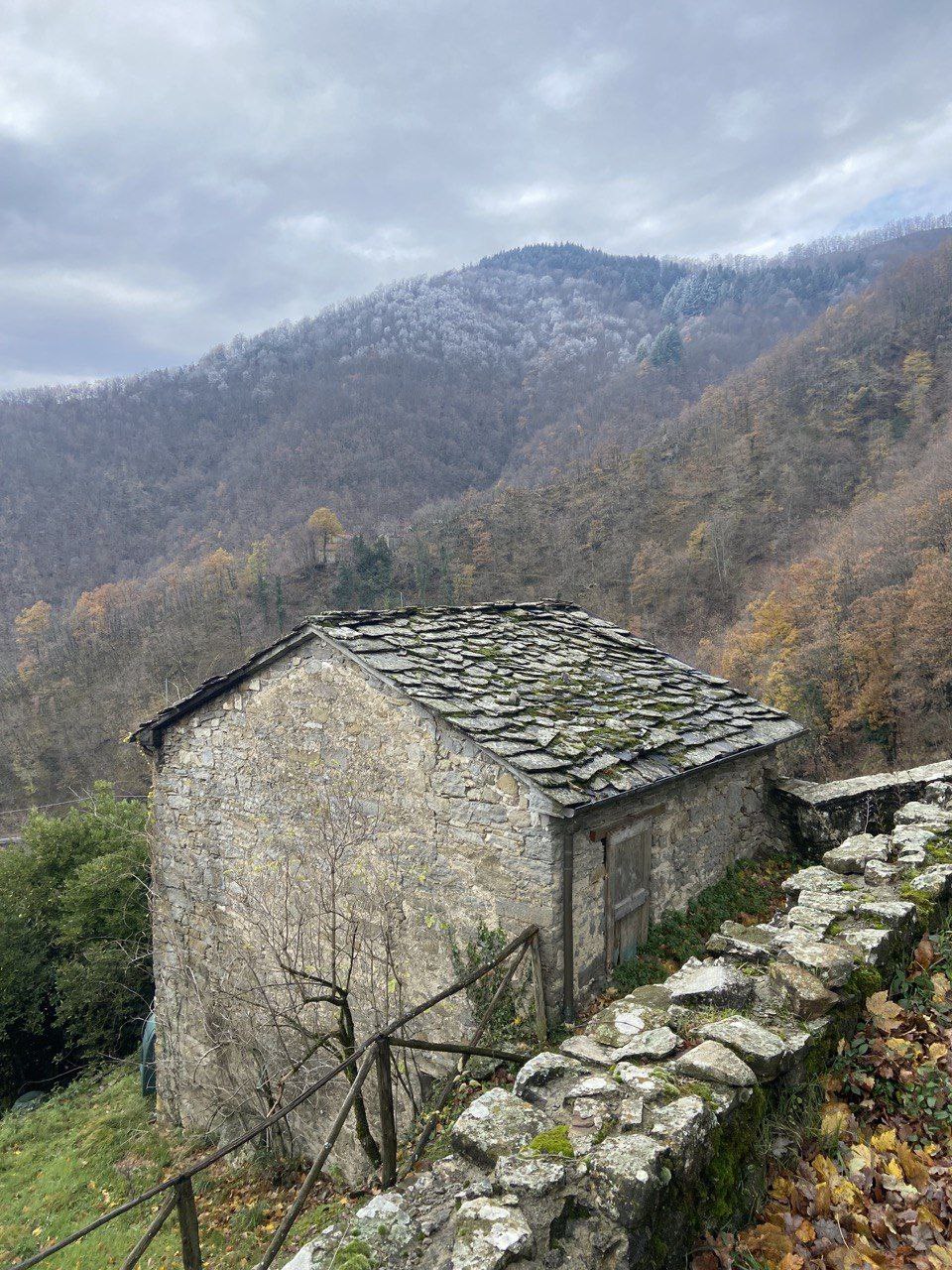 - image: 54
