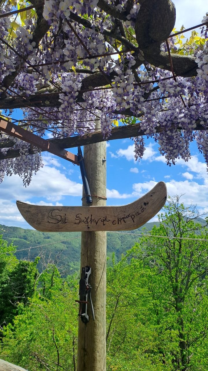 - image: 68