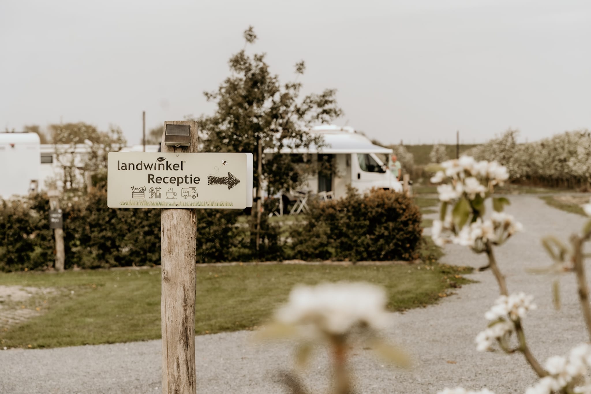 Natuurhuisje in Kruiningen