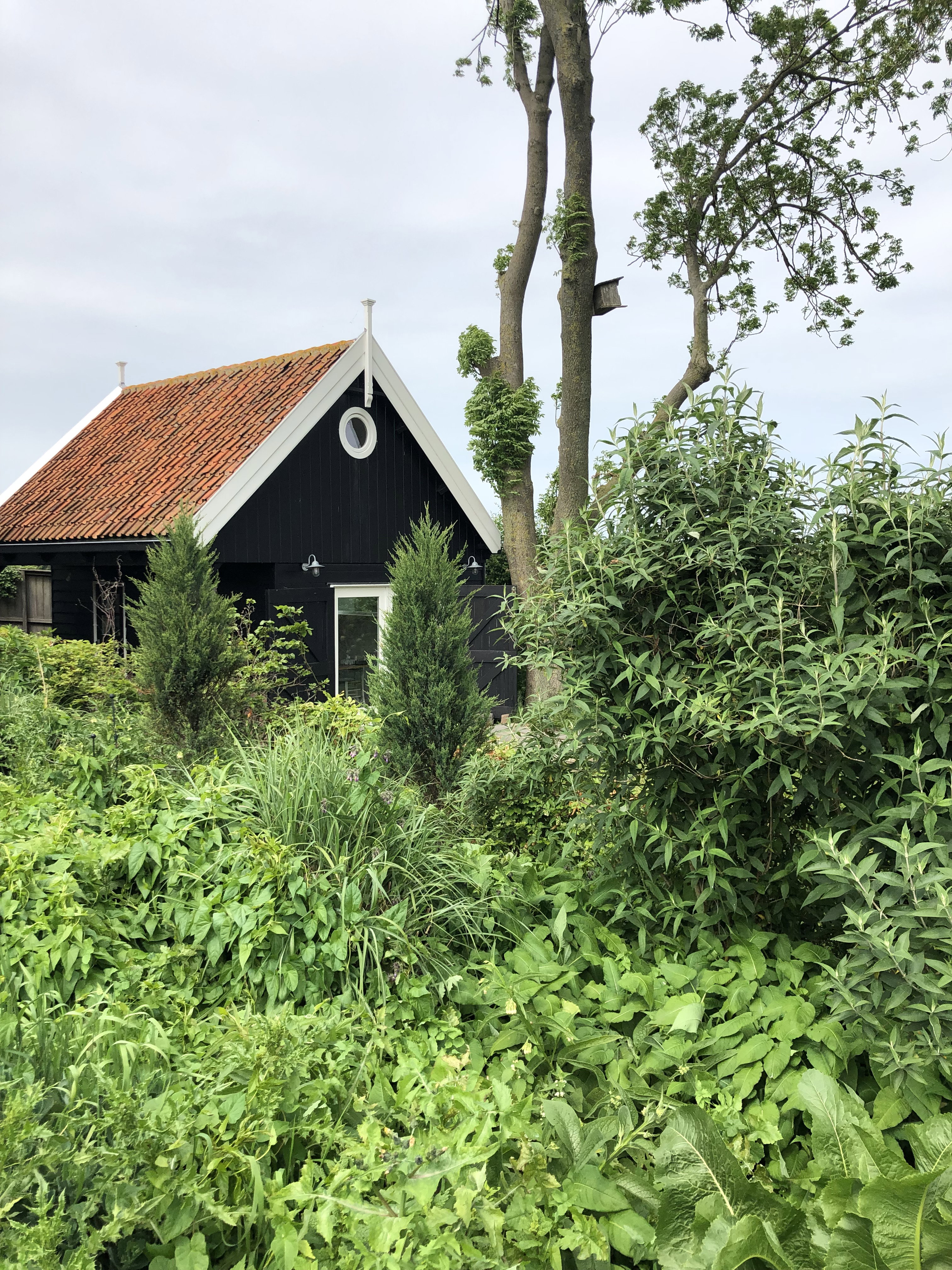 Naturhäuschen in Amsterdam