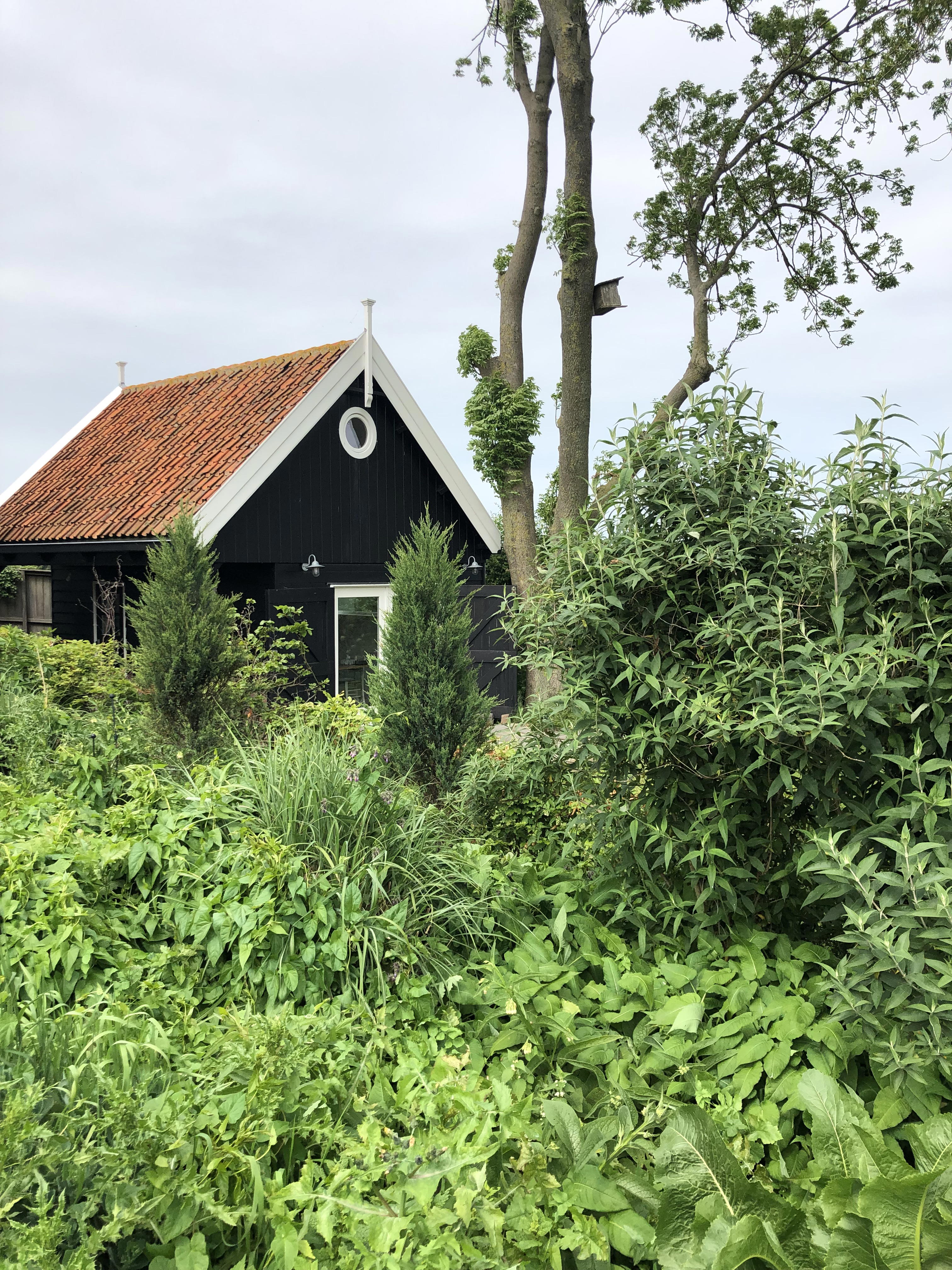 Nature house in Amsterdam