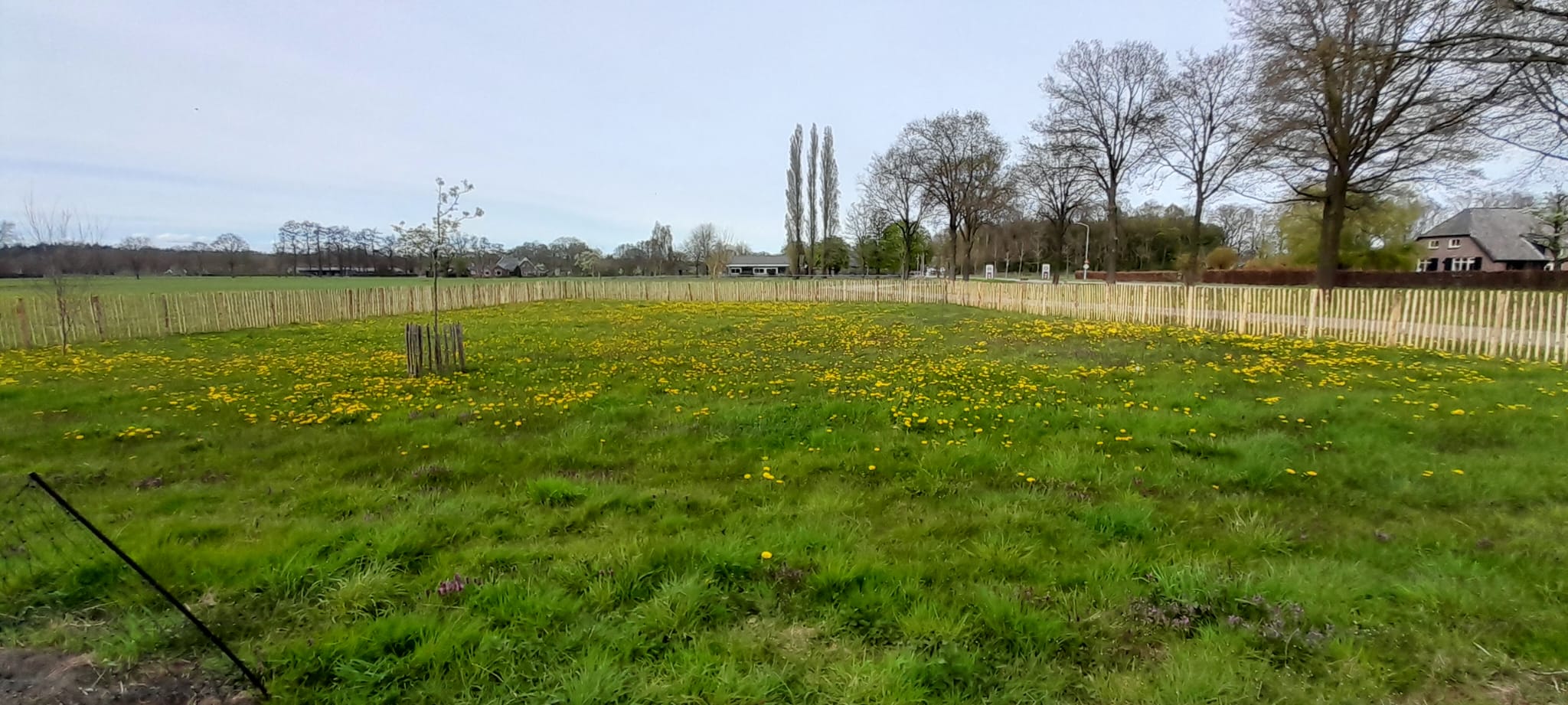 Natuurhuisje in Westendorp