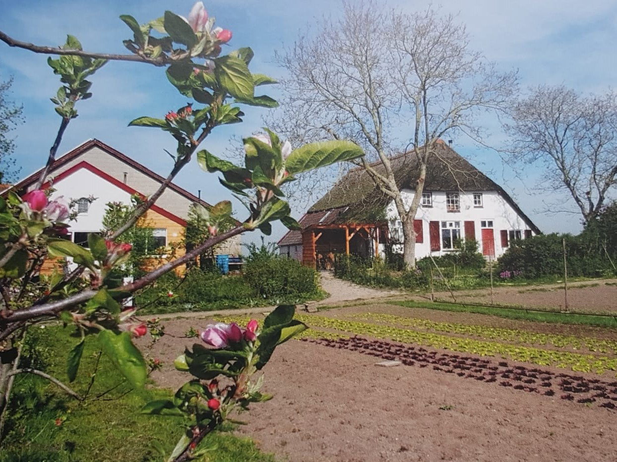 Nature house in Duiven