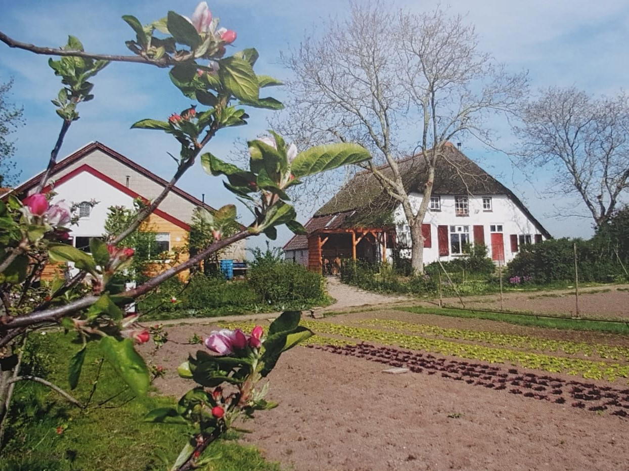 Nature house in Duiven