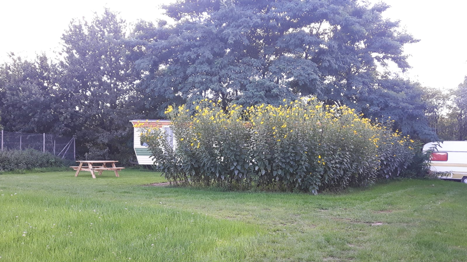 Nature house in Duiven