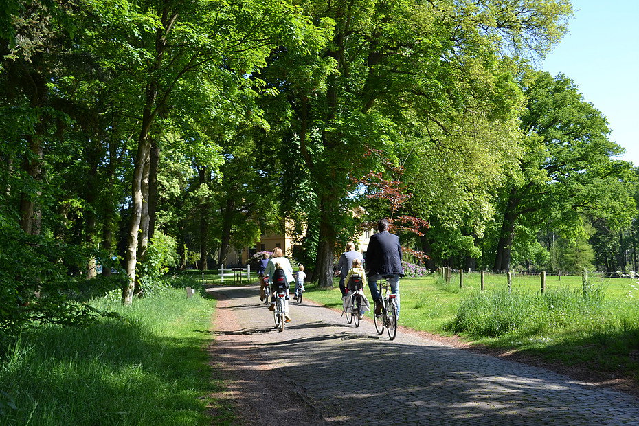 Natuurhuisje in Diepenveen