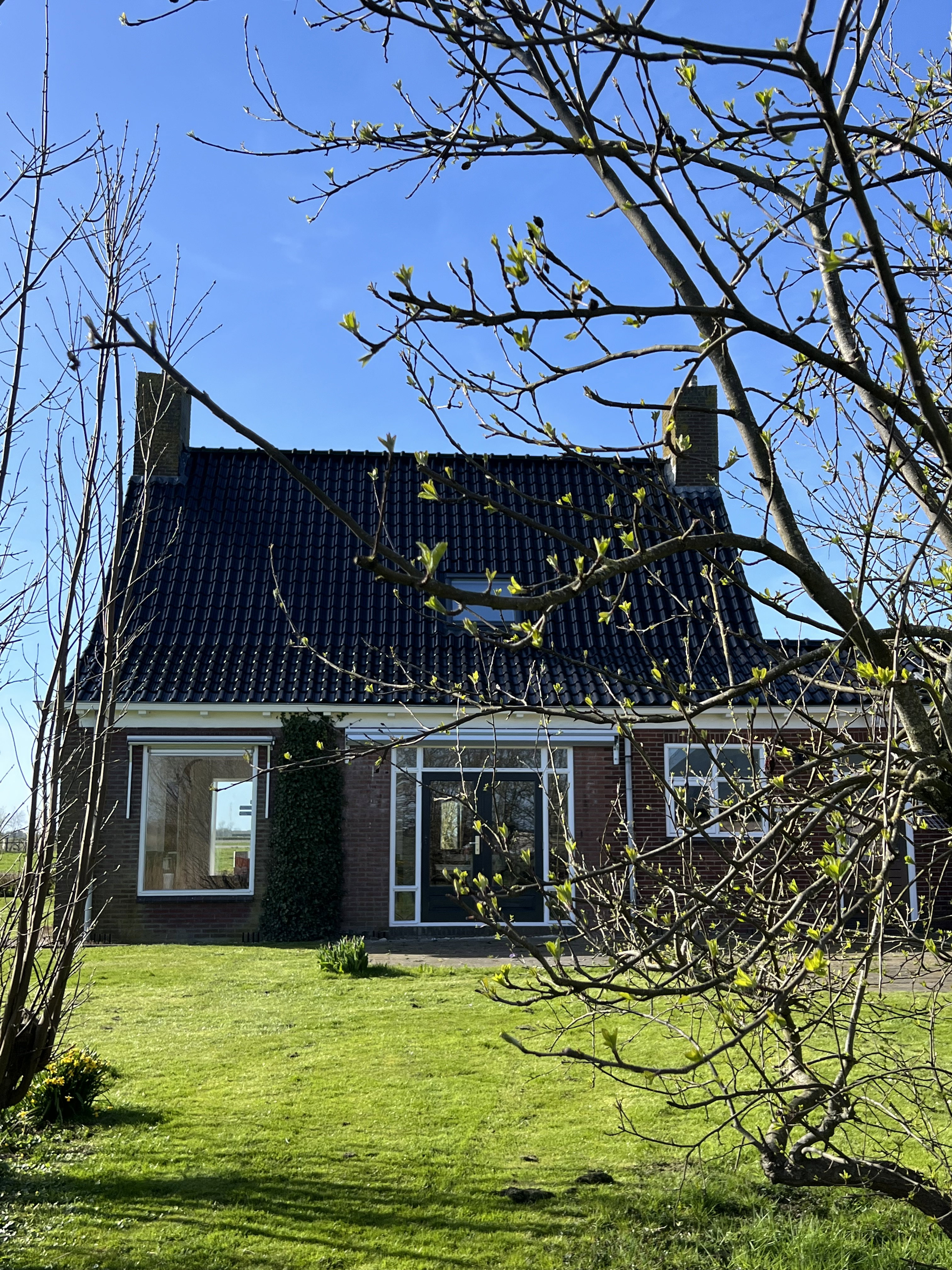 Casa nella natura a Witmarsum