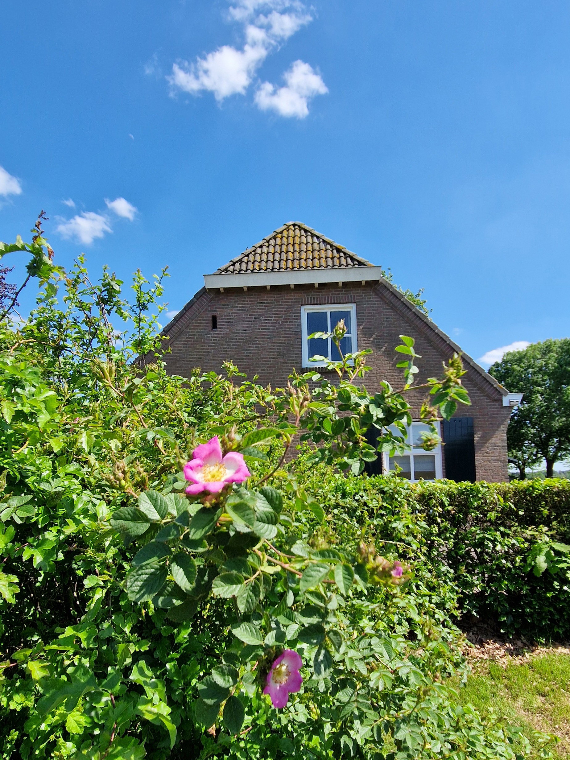Naturhäuschen in Leende