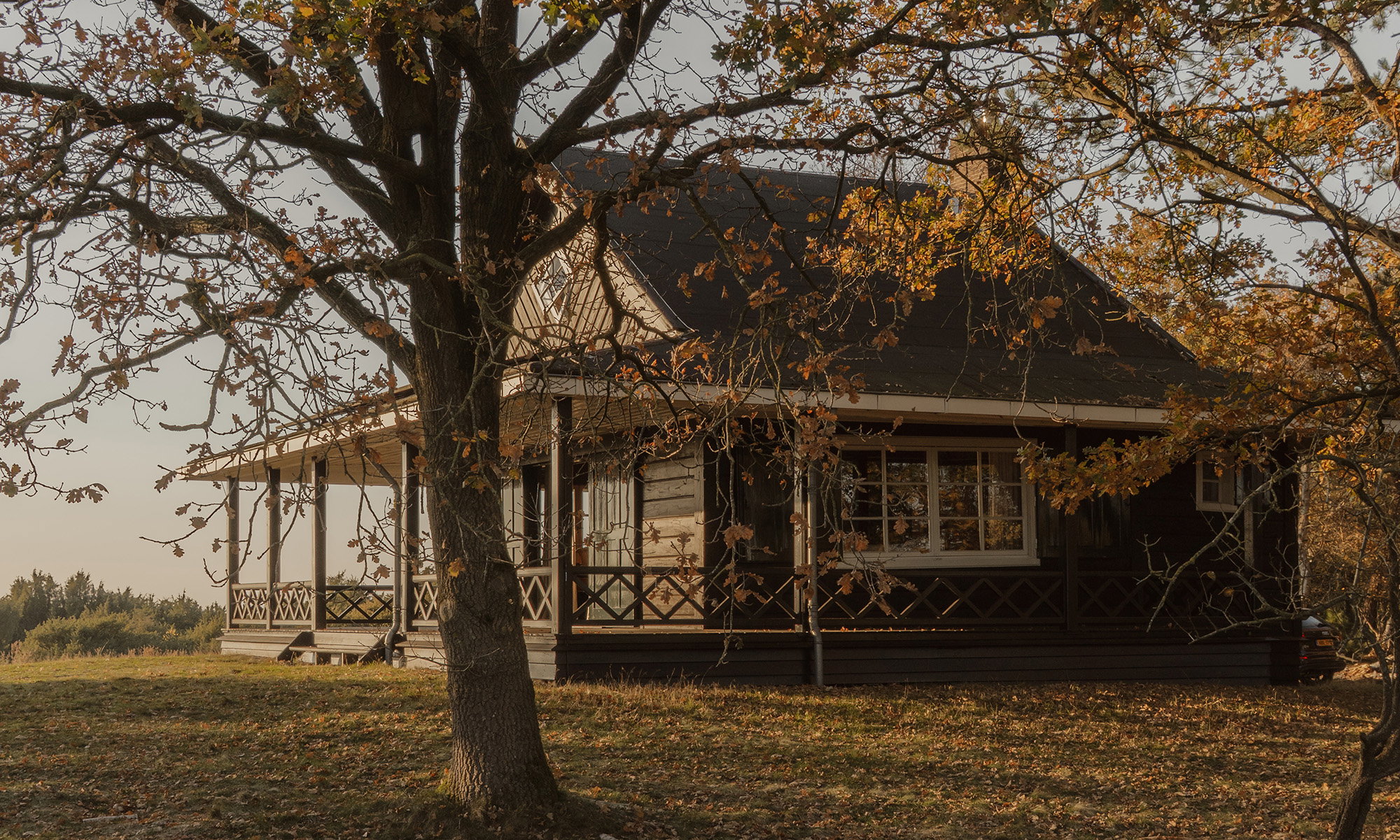 Natuurhuisje in Lemele
