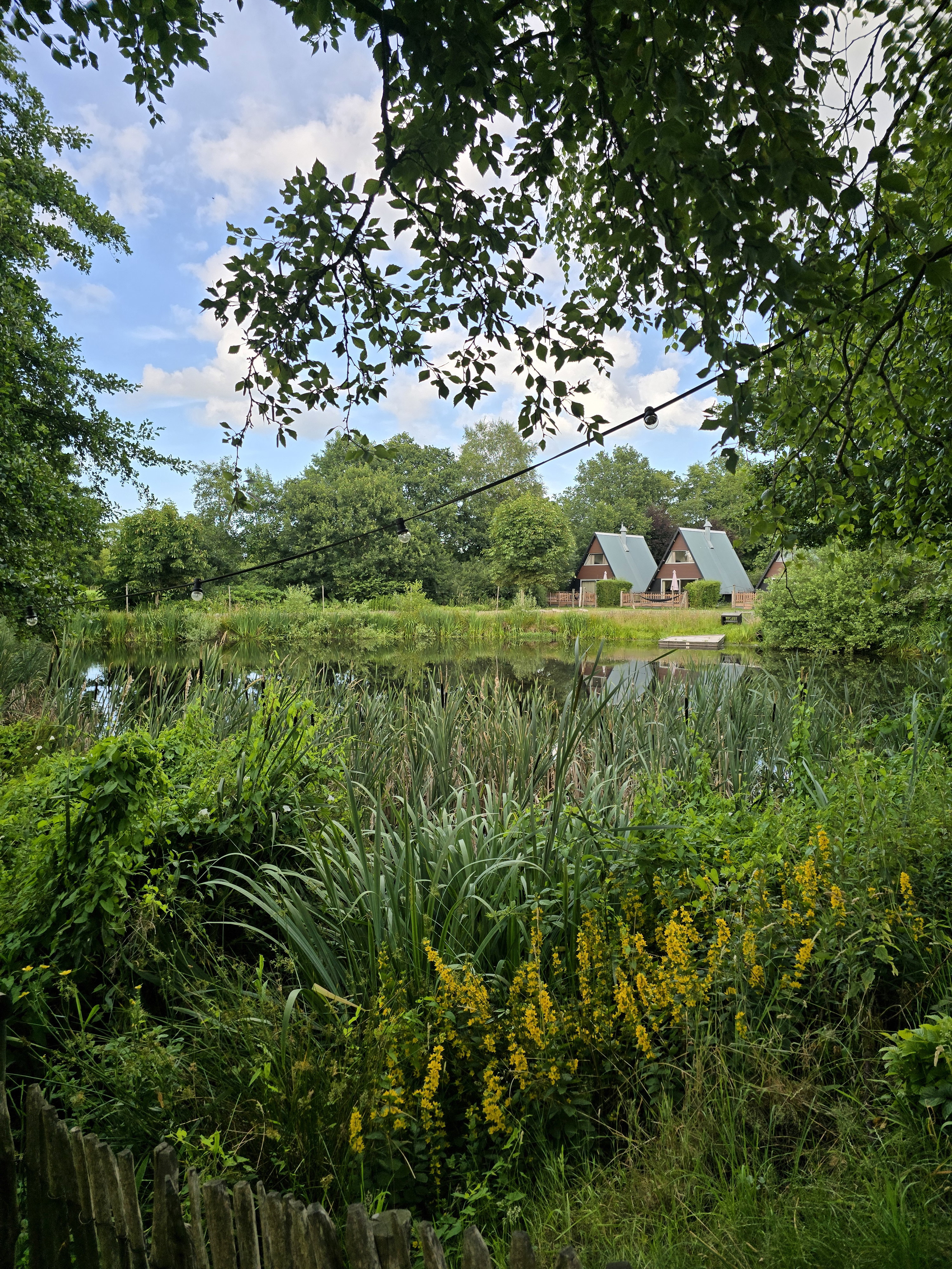 Natuurhuisje in Twijzelerheide