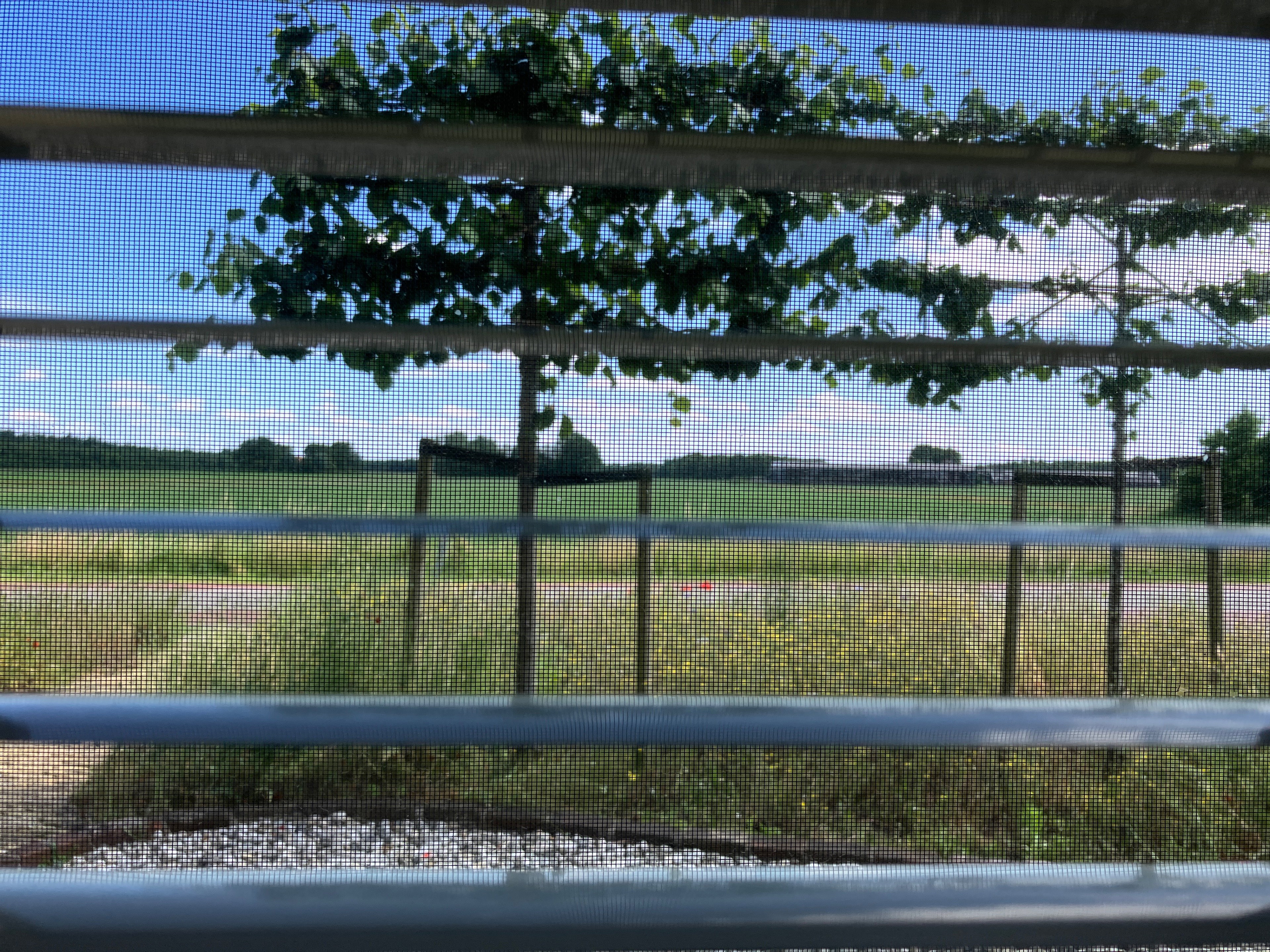 Casa nella natura a Harich