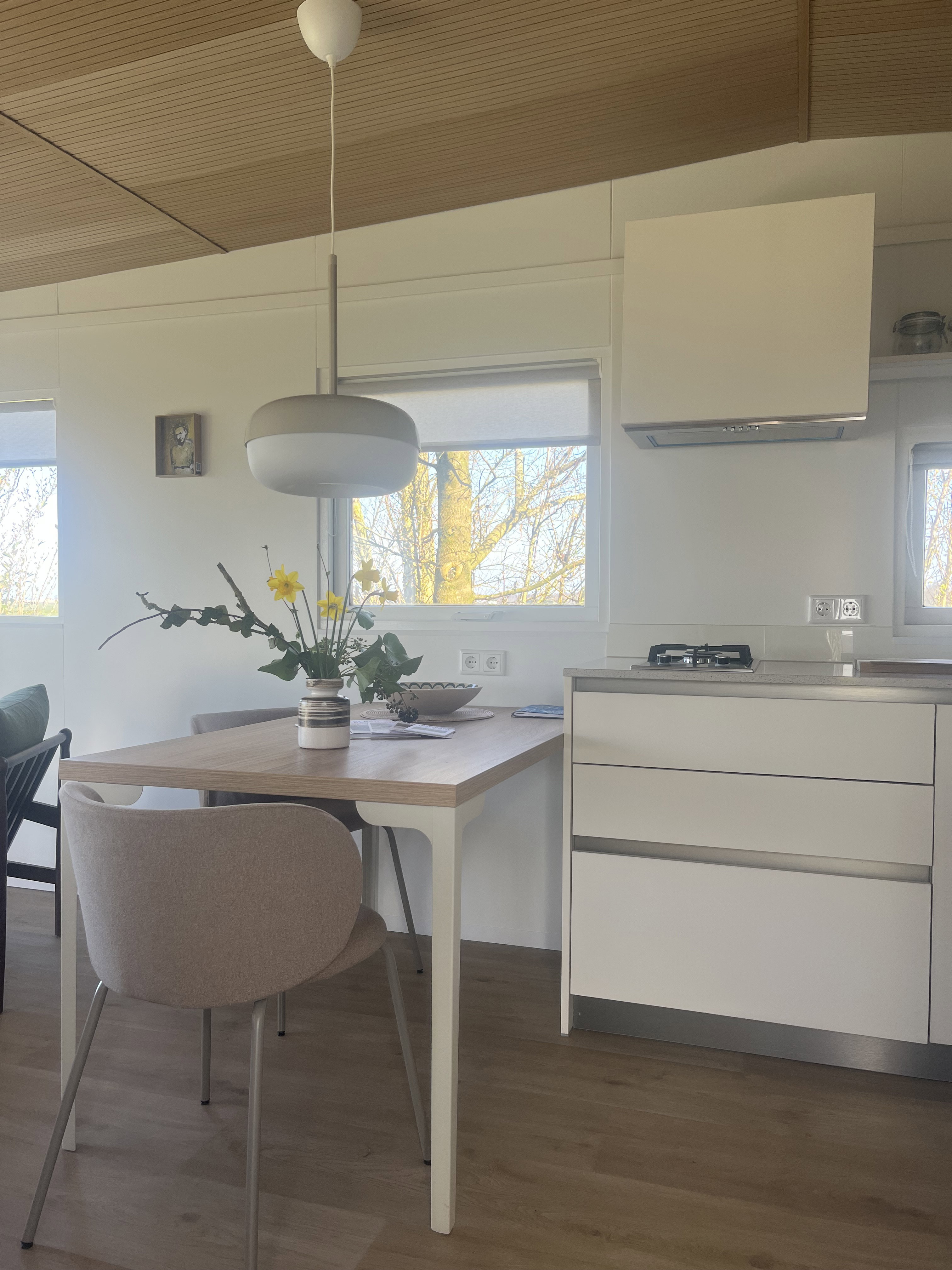 Casa nella natura a Lemmer