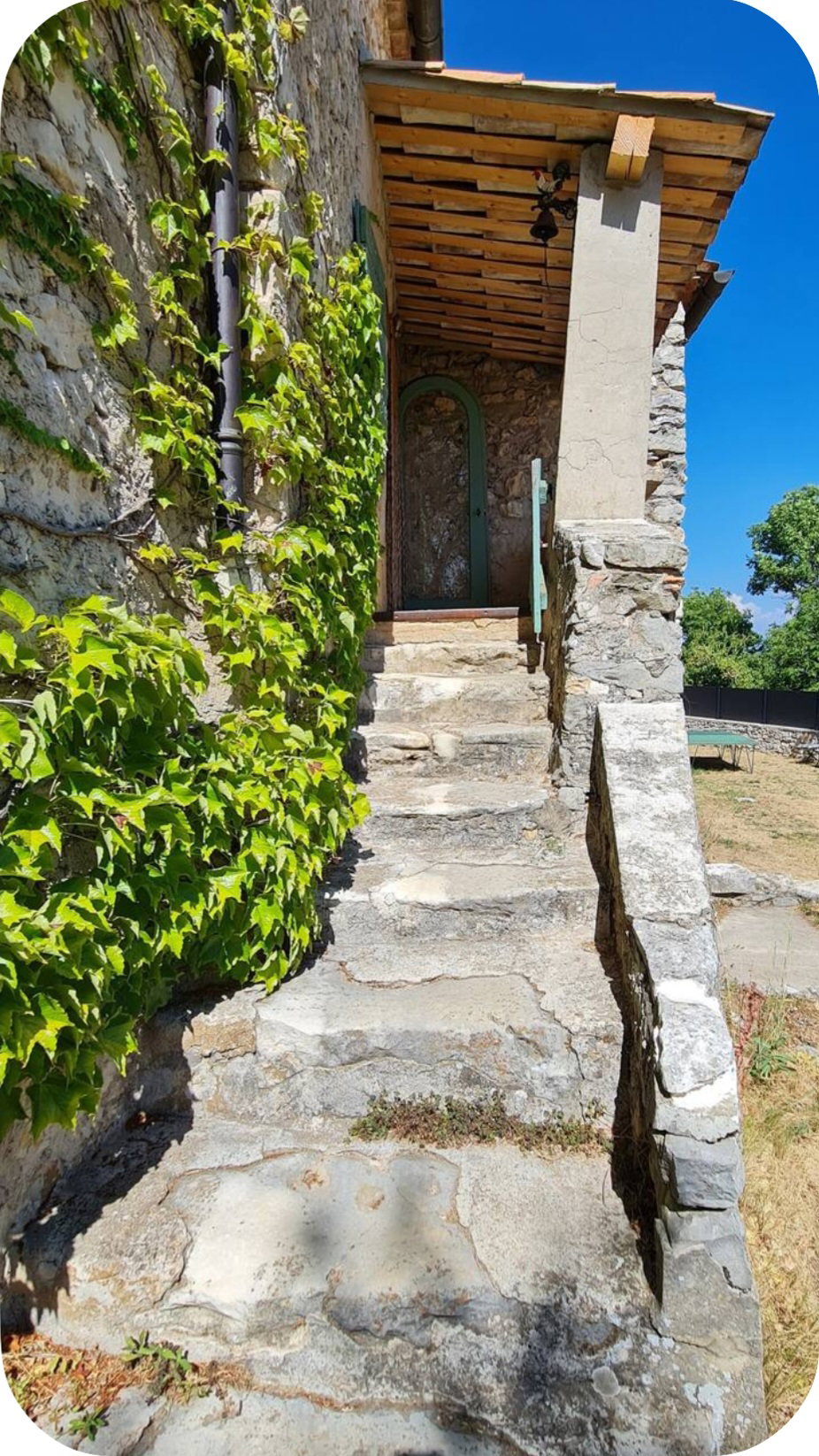 - image: 25