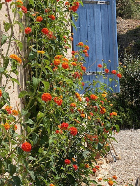 Maison nature à Bormes-les-Mimosas
