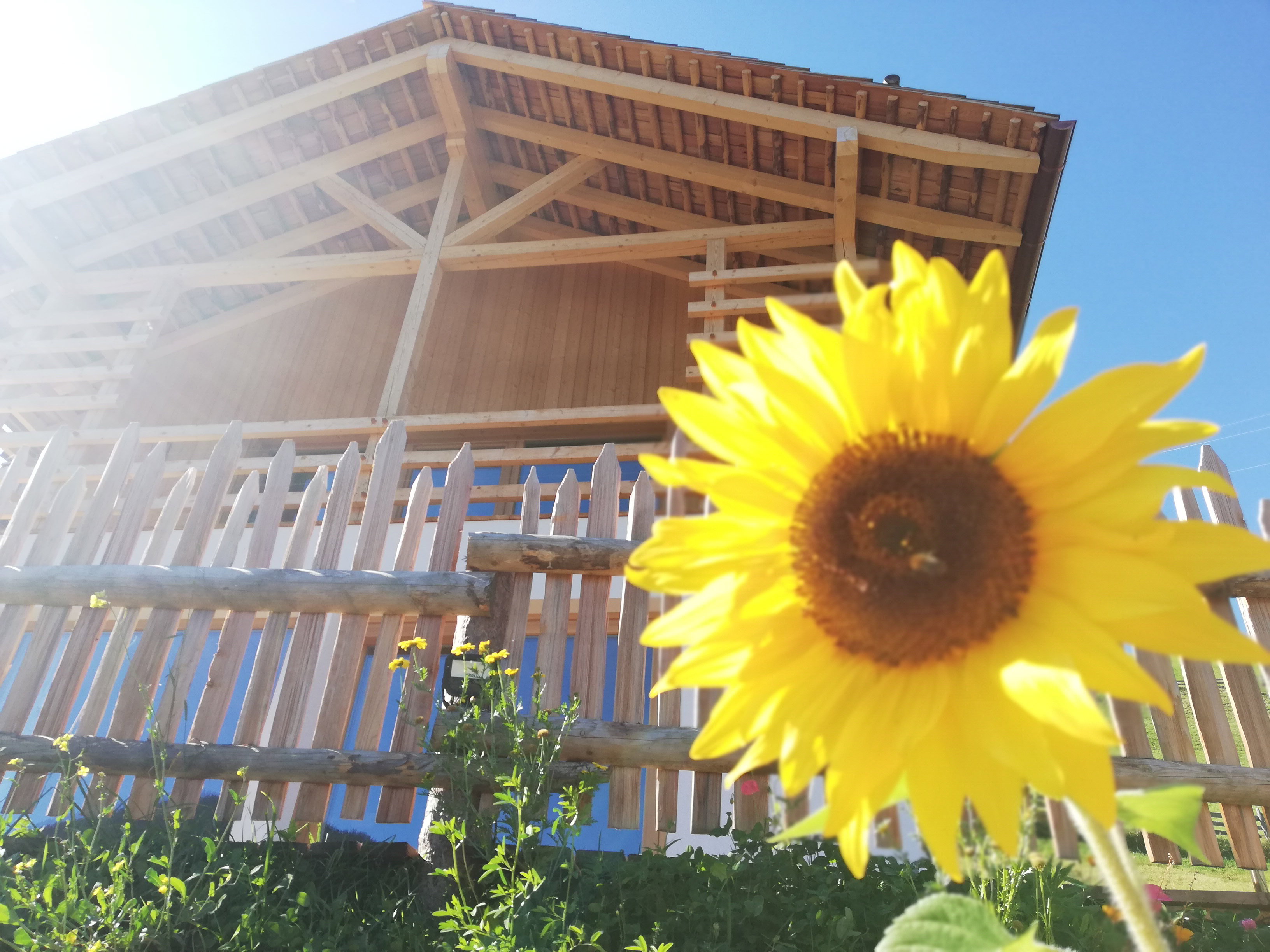 Casa nella natura a Enneberg