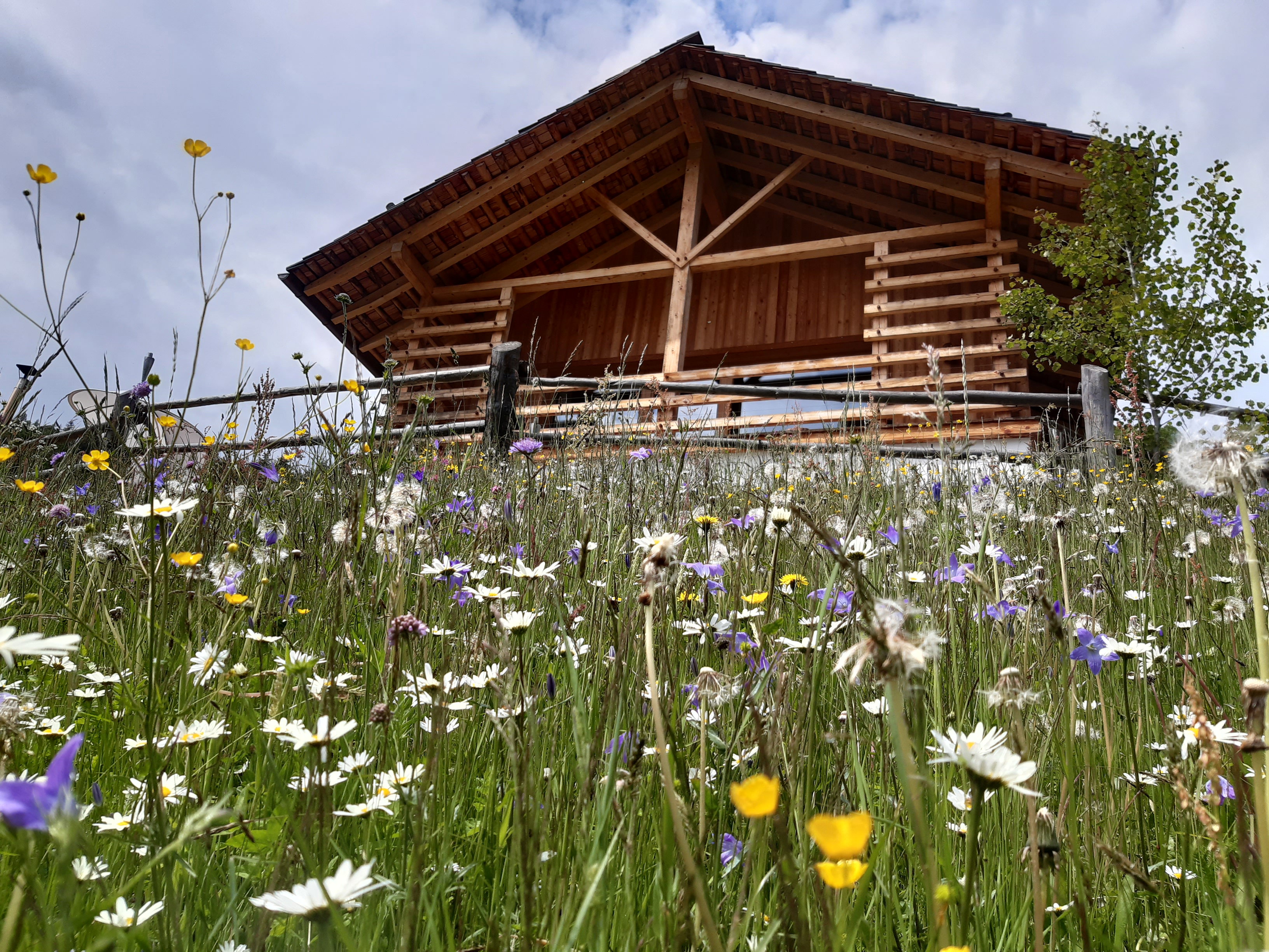 Casa nella natura a Enneberg