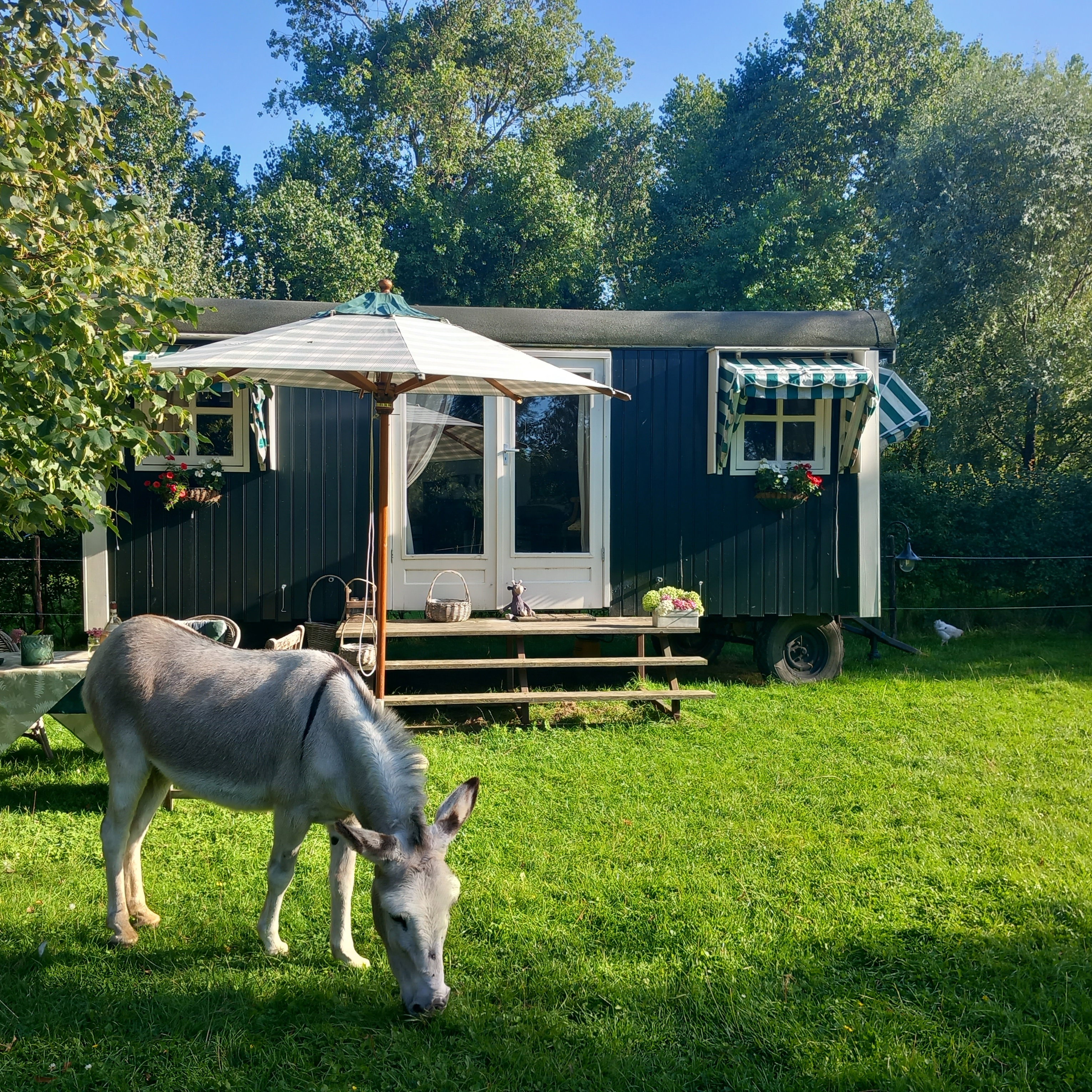 Natuurhuisje in Koudekerke